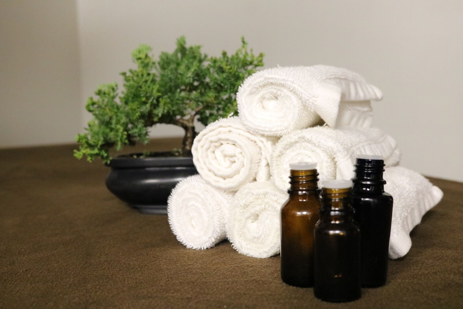 Canon EOS 750D (EOS Rebel T6i / EOS Kiss X8i) sample photo. Essential oils, spa, aromatherapy photography