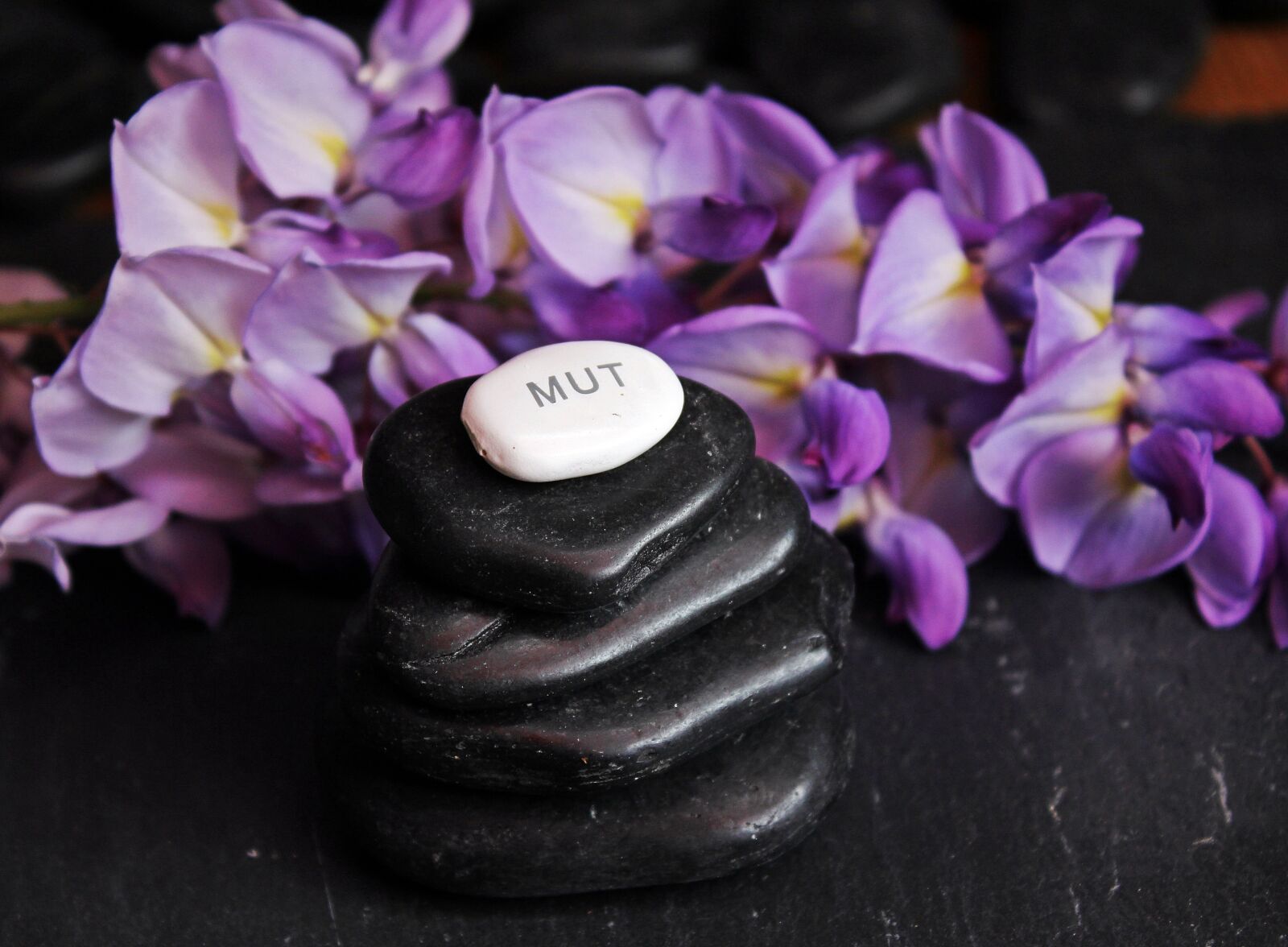 Canon EOS 550D (EOS Rebel T2i / EOS Kiss X4) sample photo. Balance, meditation, stones photography