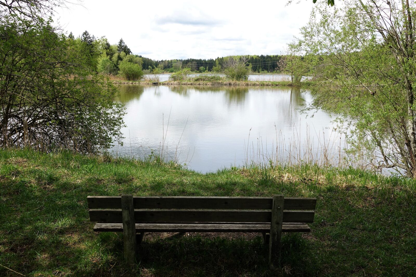 Sony Cyber-shot DSC-RX10 III sample photo. Lake, bank, lake view photography
