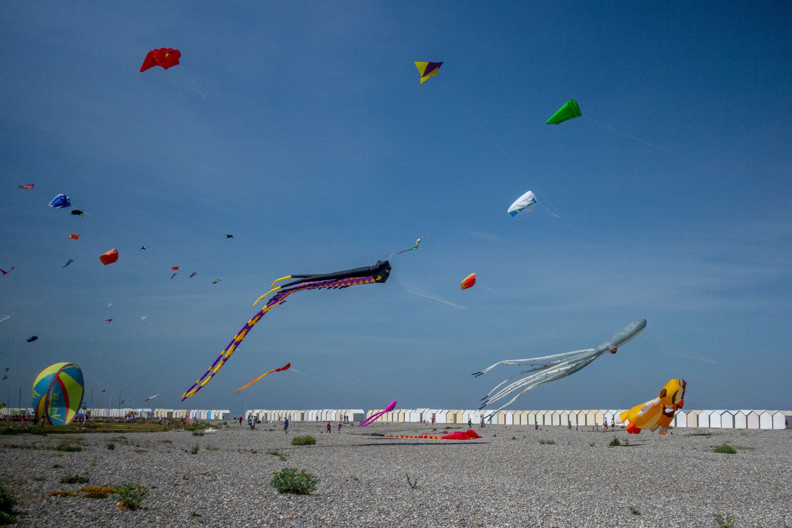 Sony Cyber-shot DSC-RX100 sample photo. Kite, festival, beach photography
