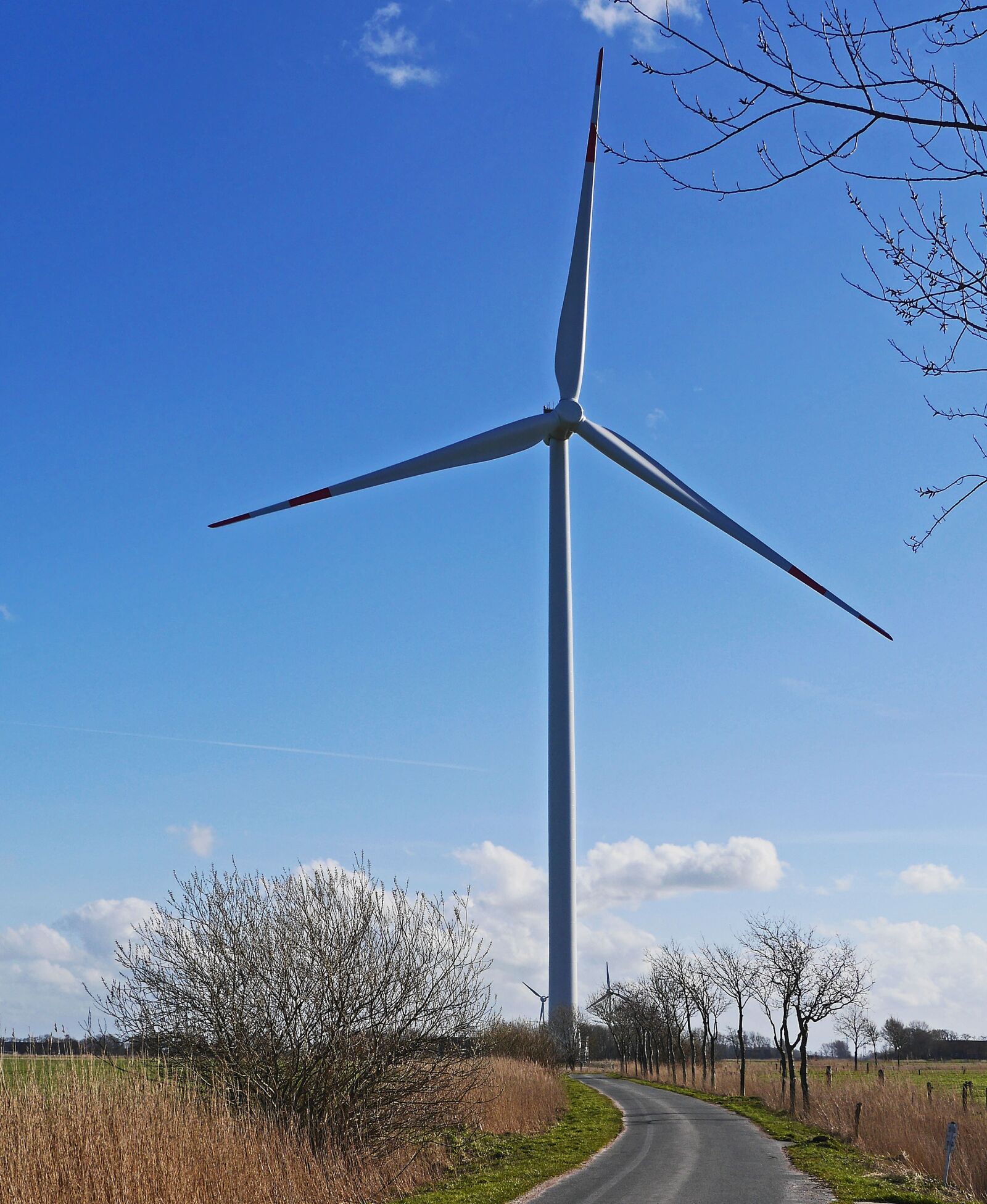 Panasonic Lumix DMC-GH3 sample photo. Lane, pinwheel, wind turbine photography
