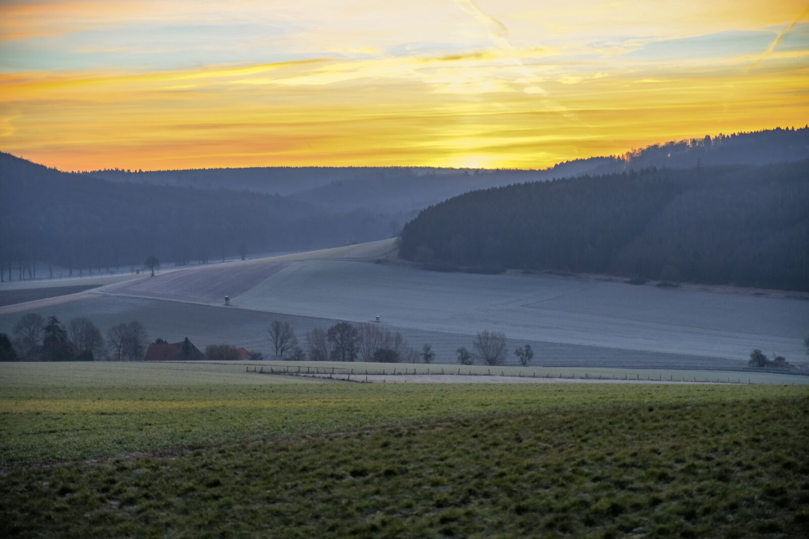 Nikon D850 sample photo. Landscape, reported, forest photography