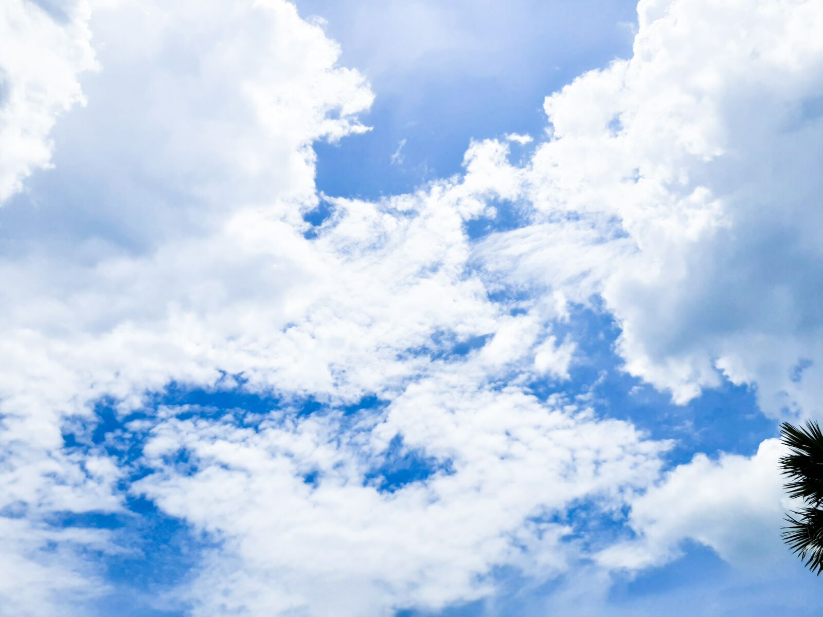 Samsung SM-A505F sample photo. Sky, blue, blue sky photography