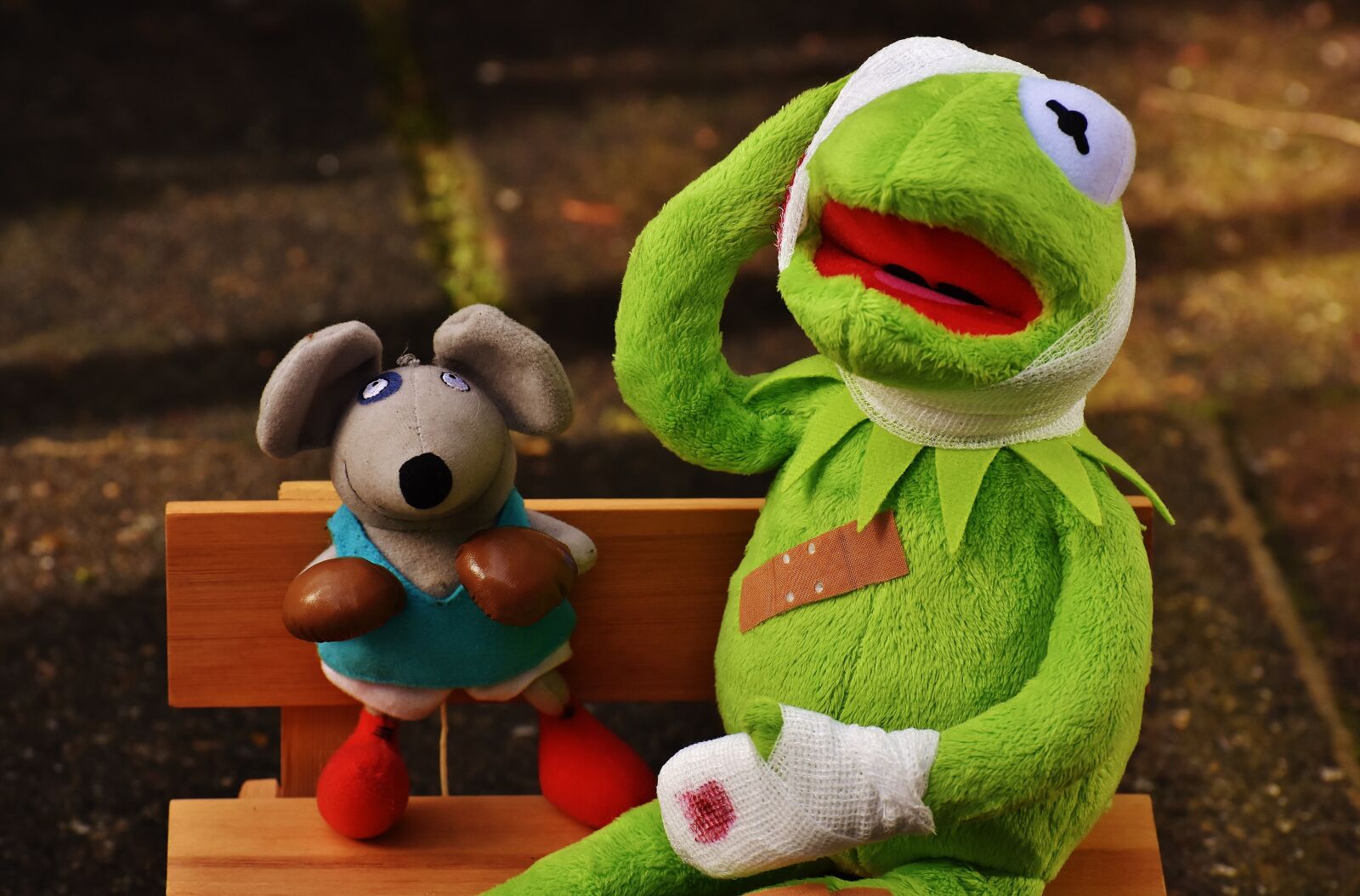 Nikon D7200 sample photo. Kermit, mouse, stuffed animal photography