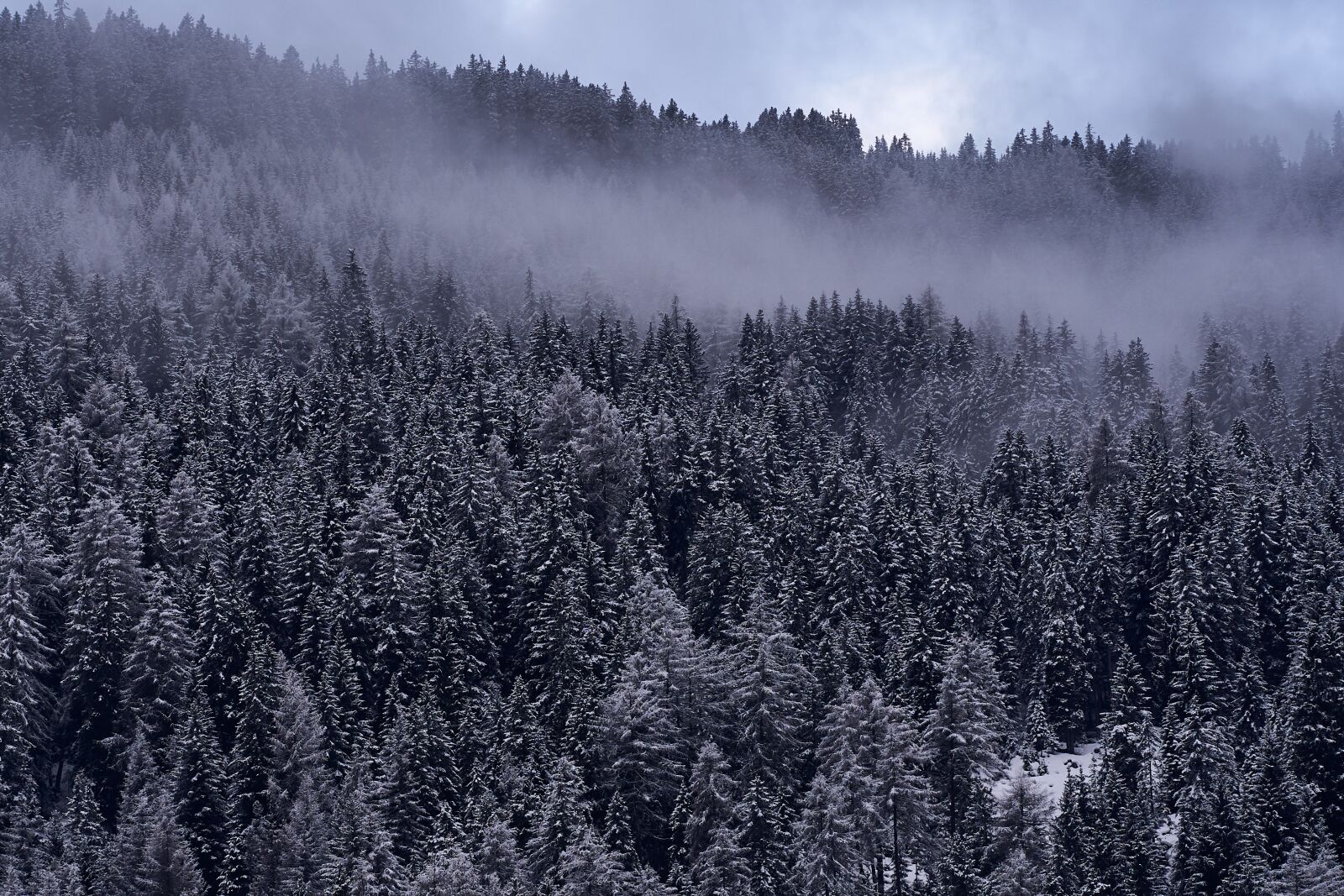 Sony FE 85mm F1.8 sample photo. Winter, panorama, snow photography