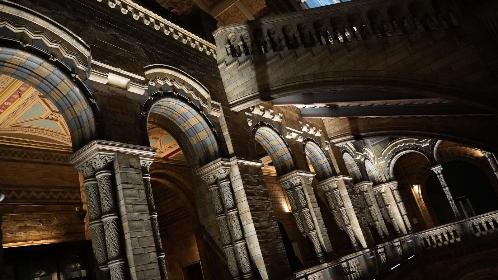 Sony E 18-135mm F3.5-5.6 OSS sample photo. Natural history museum, hall photography