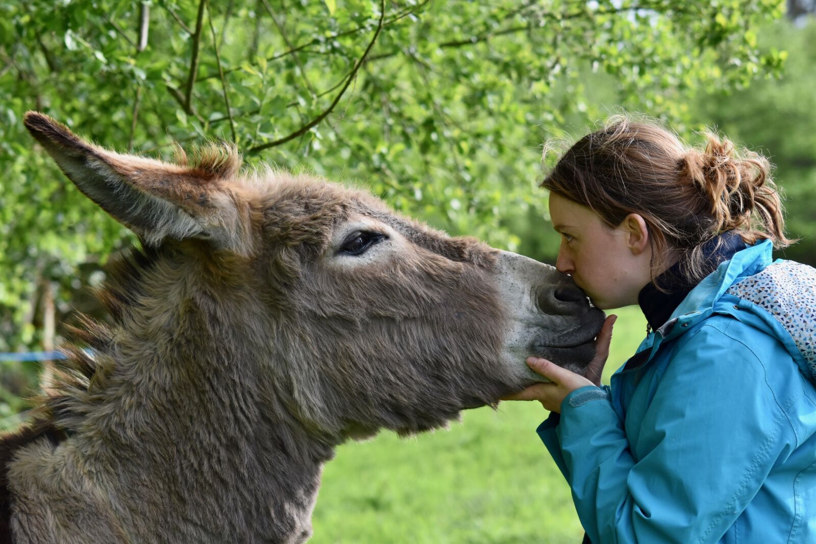 Nikon D5600 sample photo. Kisses, kiss, girl and photography