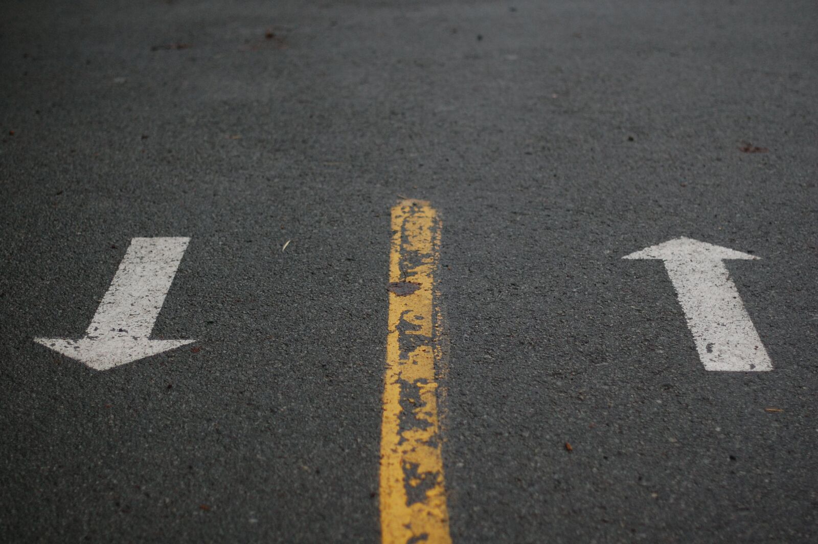 Nikon D40 sample photo. Direction, meaning, life photography