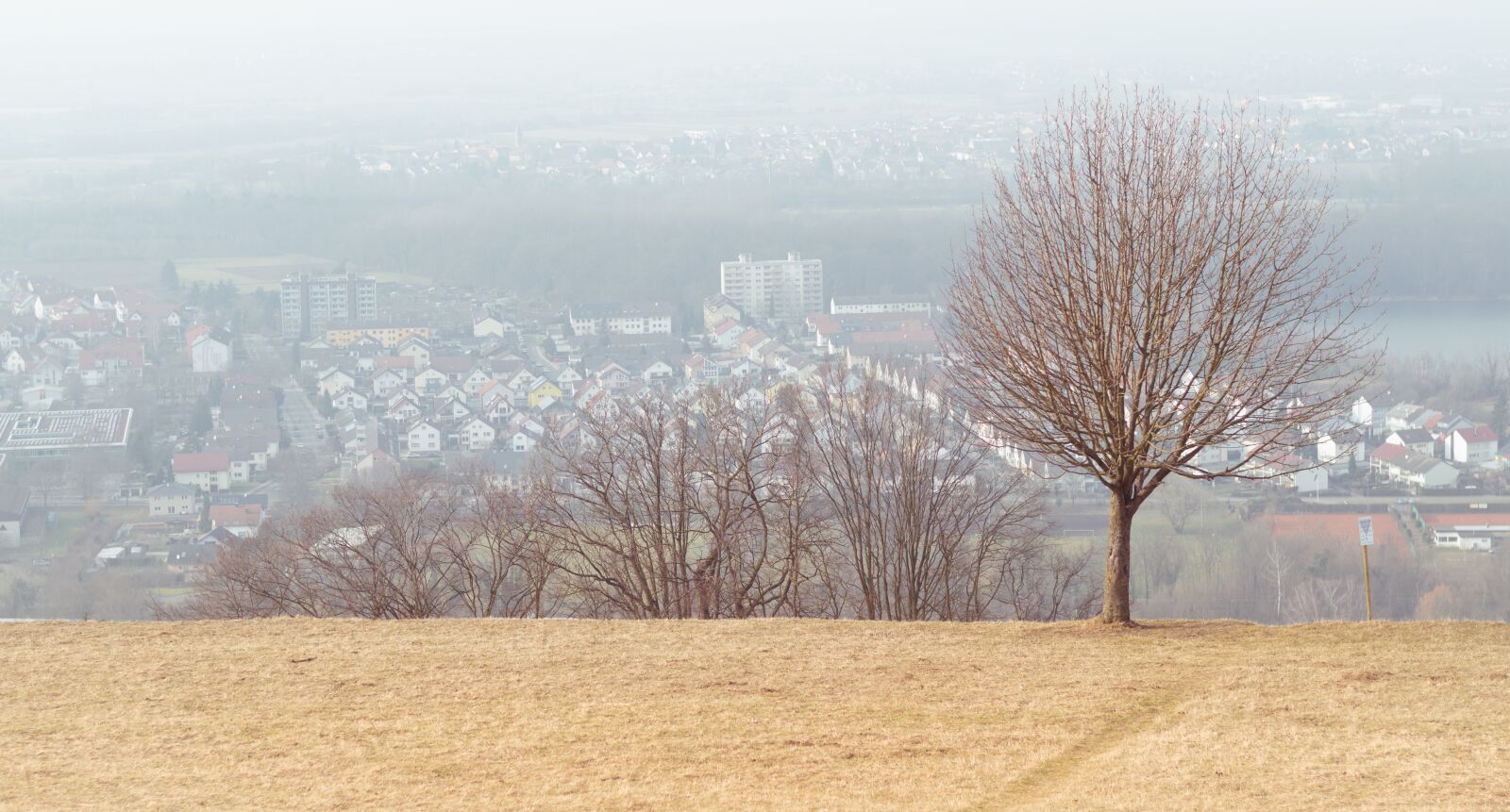 Nikon D5500 sample photo. Rhine valley, michel mountain photography