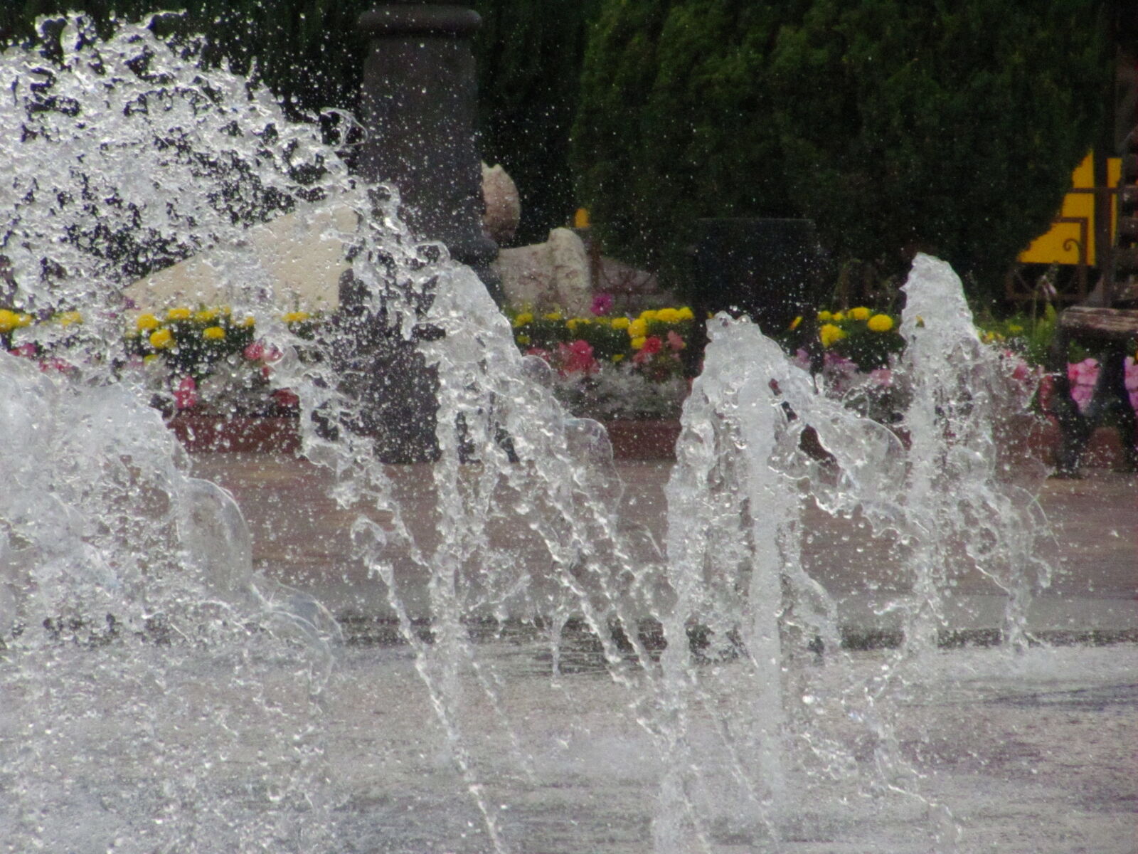 Canon PowerShot SX120 IS sample photo