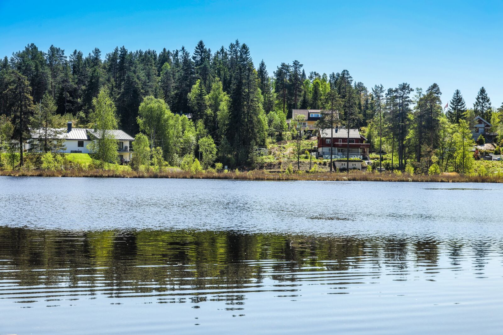 Canon EOS R sample photo. Water, lake, reflection photography