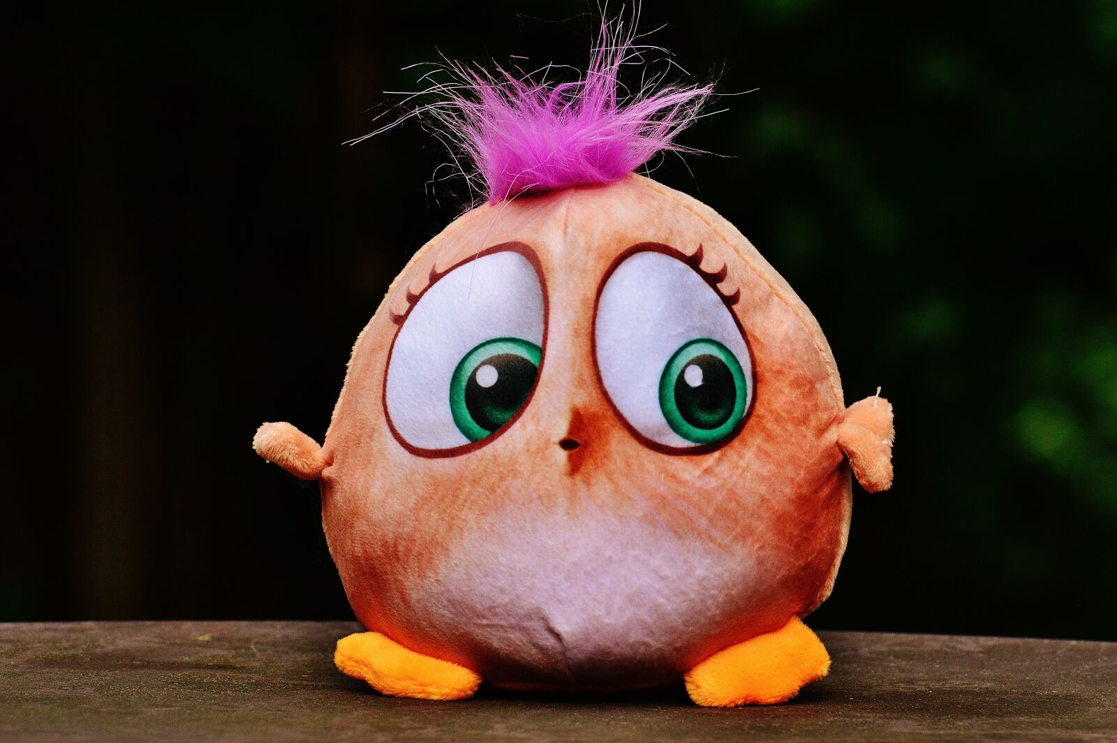 Nikon D3200 sample photo. Bird, birdie, plush photography