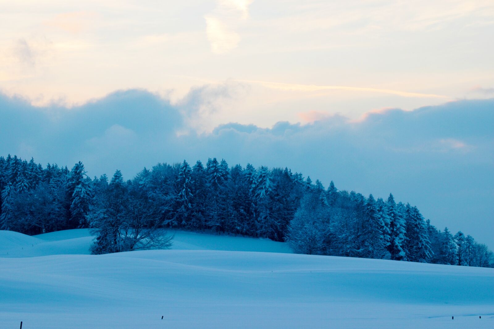 Nikon D70 sample photo. Winter, landscape, blue photography