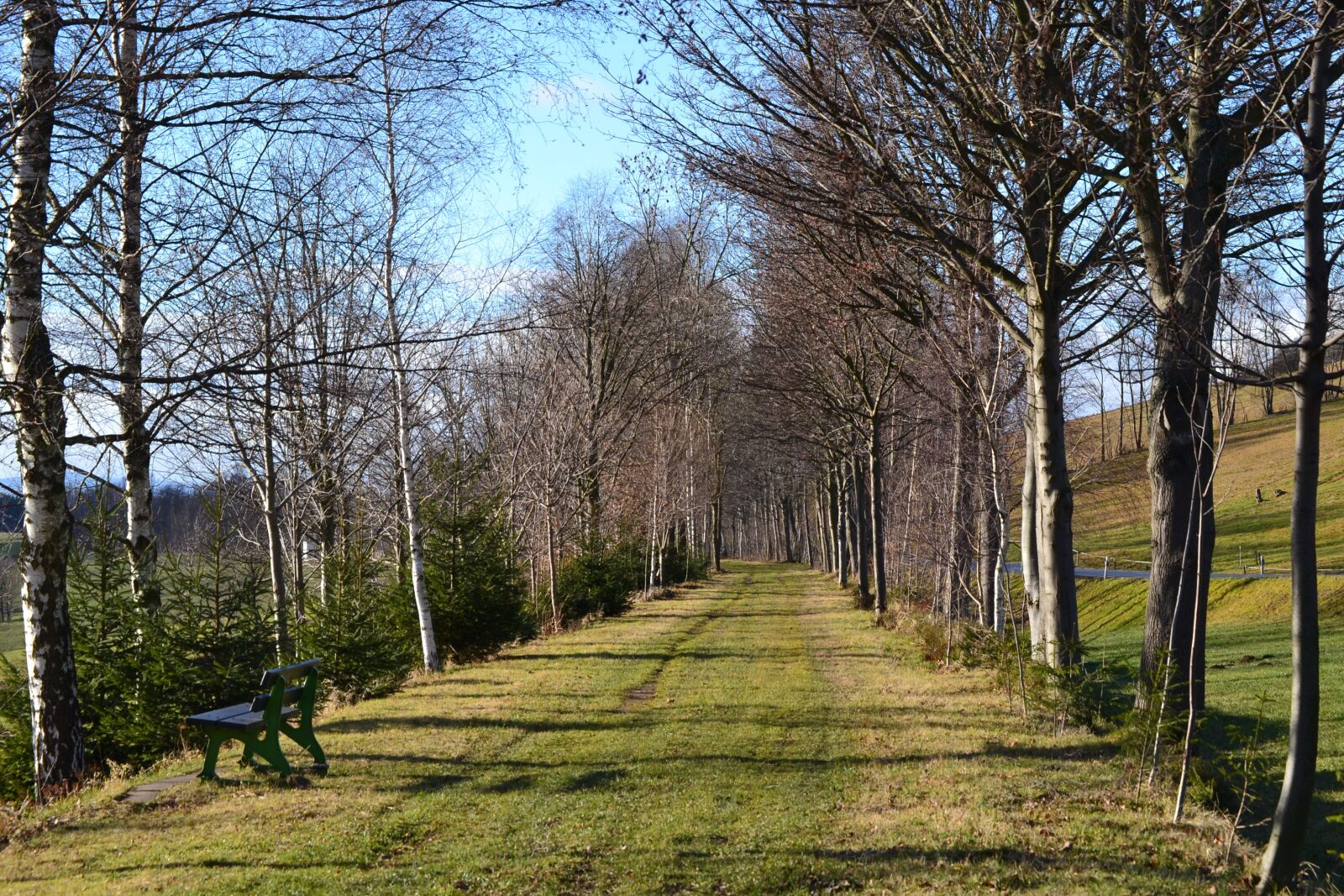 Nikon D3100 sample photo. Bank, away, trees photography