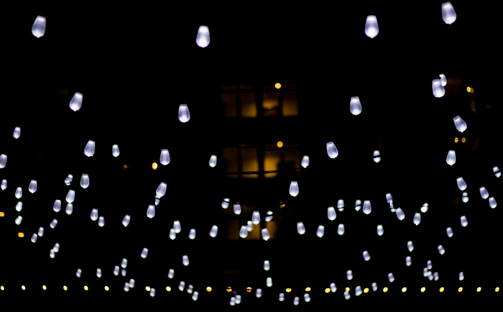 Canon EOS 600D (Rebel EOS T3i / EOS Kiss X5) sample photo. Night photography