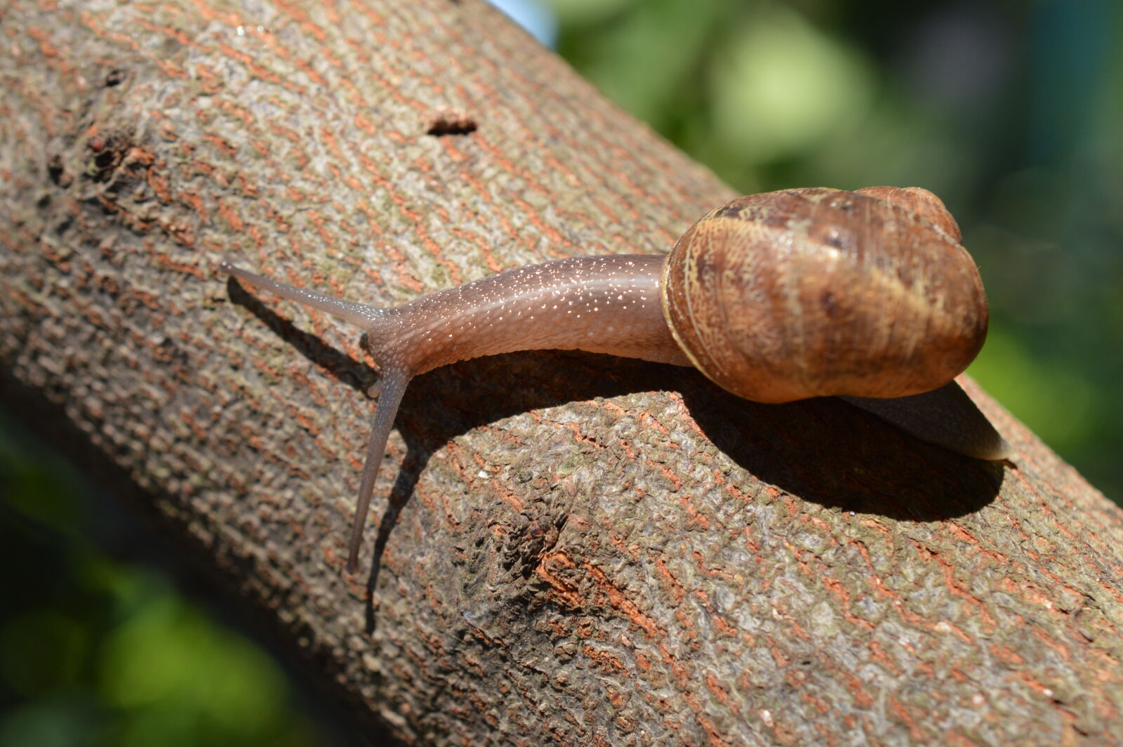 Nikon D3200 sample photo
