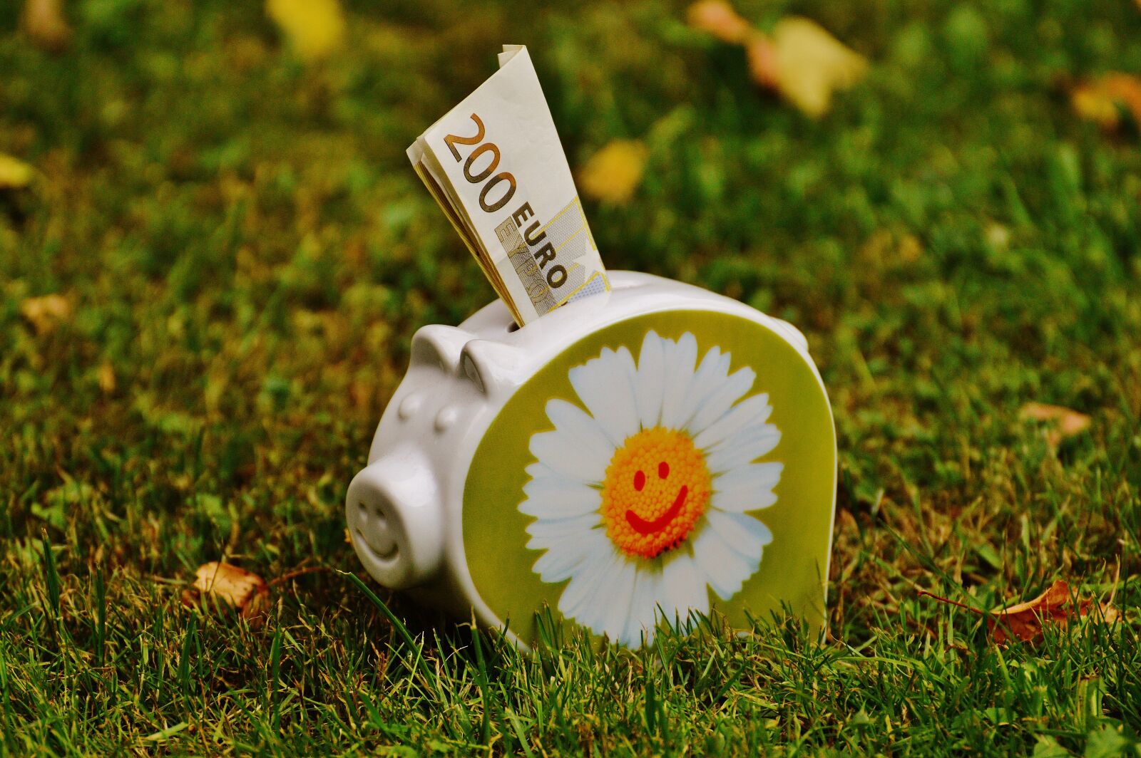 Nikon D3200 sample photo. Piggy bank, money, dollar photography