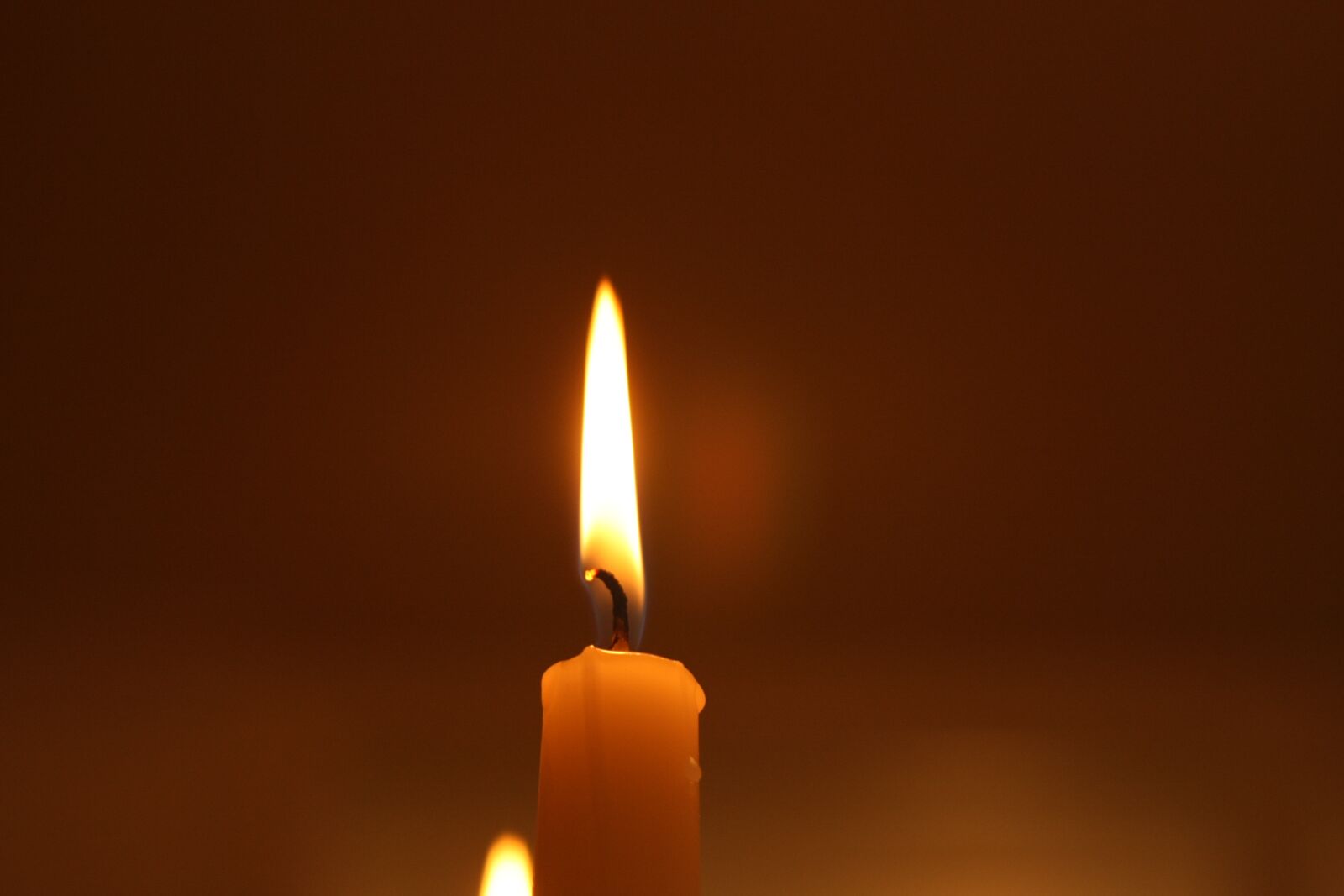 Canon EOS 40D sample photo. Candle, light, burning photography