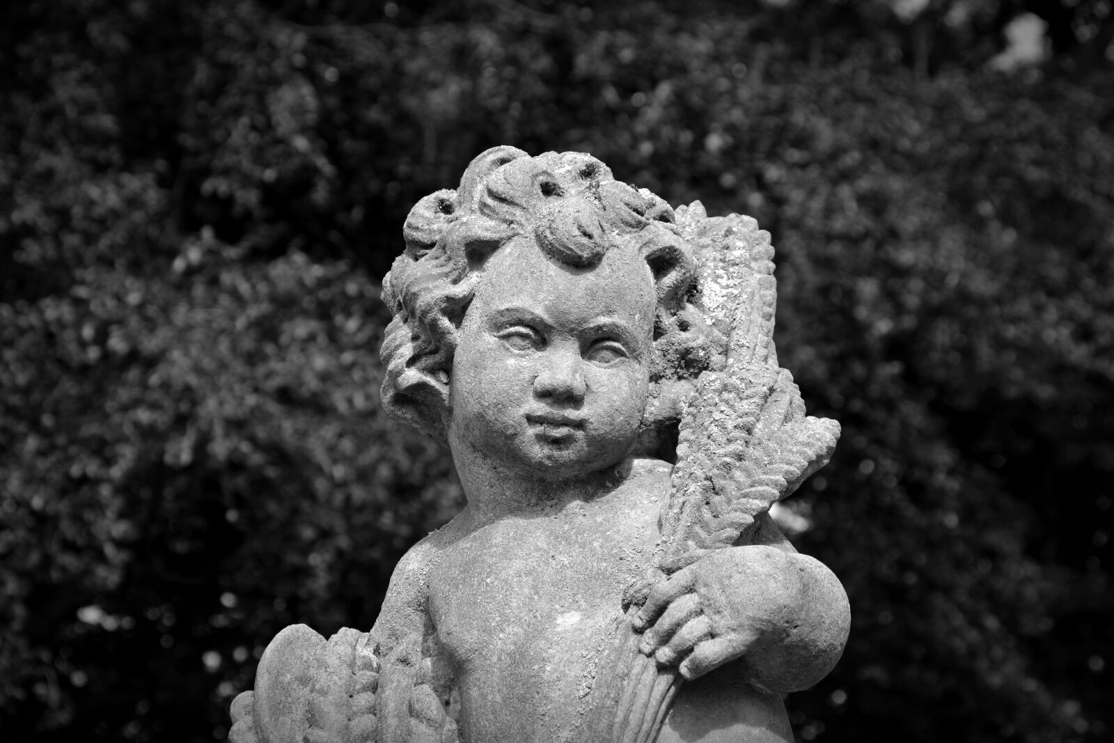 Nikon D5200 sample photo. Bust, sculpture, statue photography