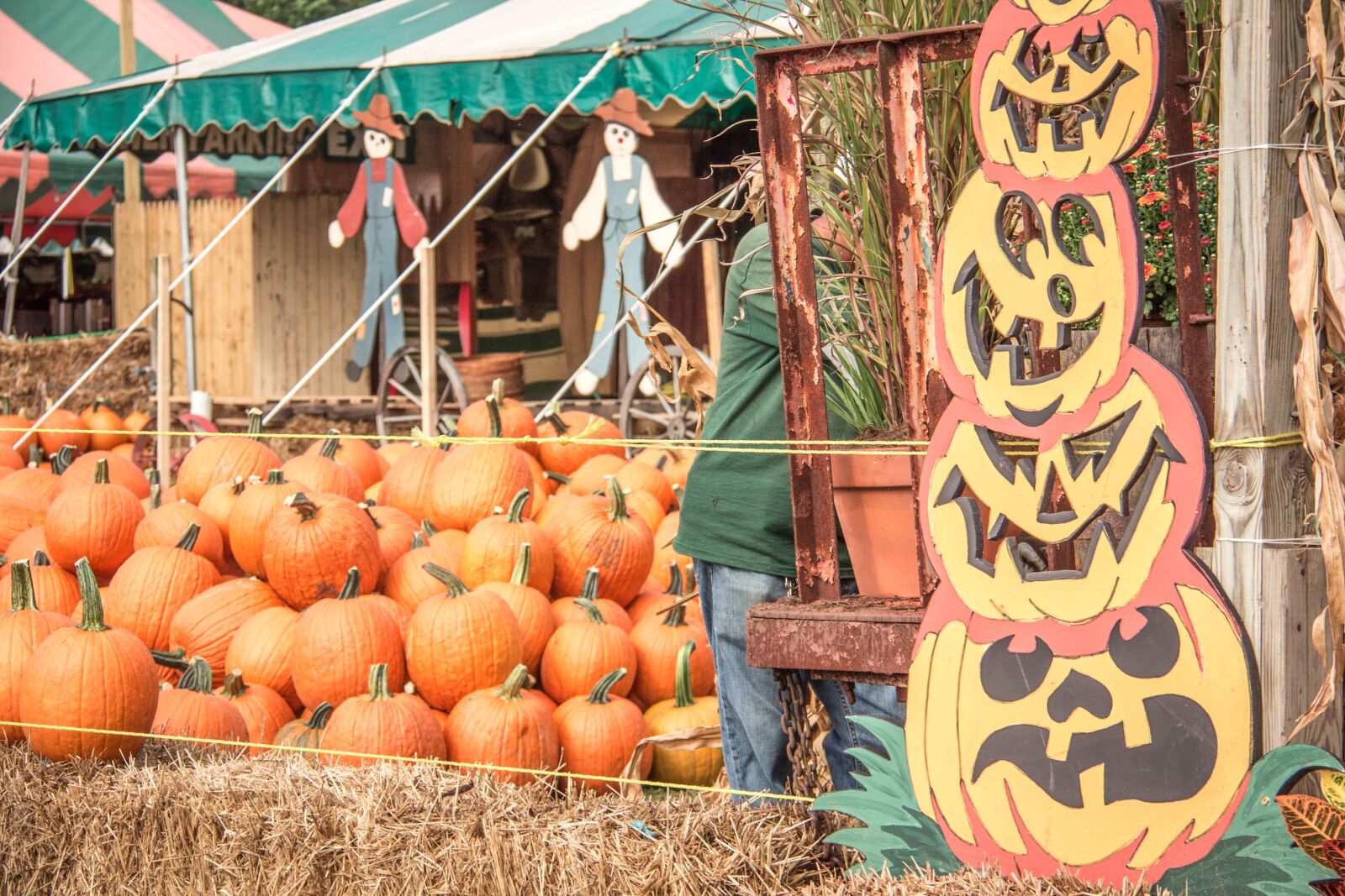 Canon EF-S 18-200mm F3.5-5.6 IS sample photo. Pumpkins, fall, halloween photography