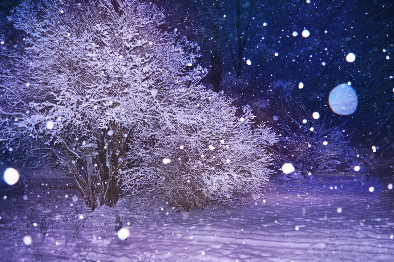 Nikon D3200 sample photo. Snow, night, december photography