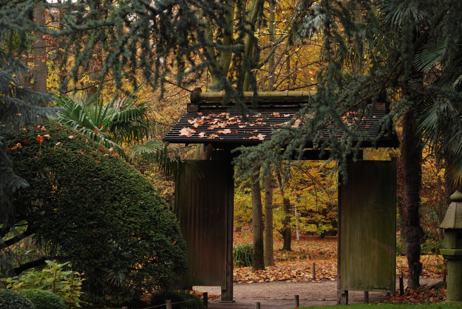 Nikon D80 sample photo. Door, garden, japan photography