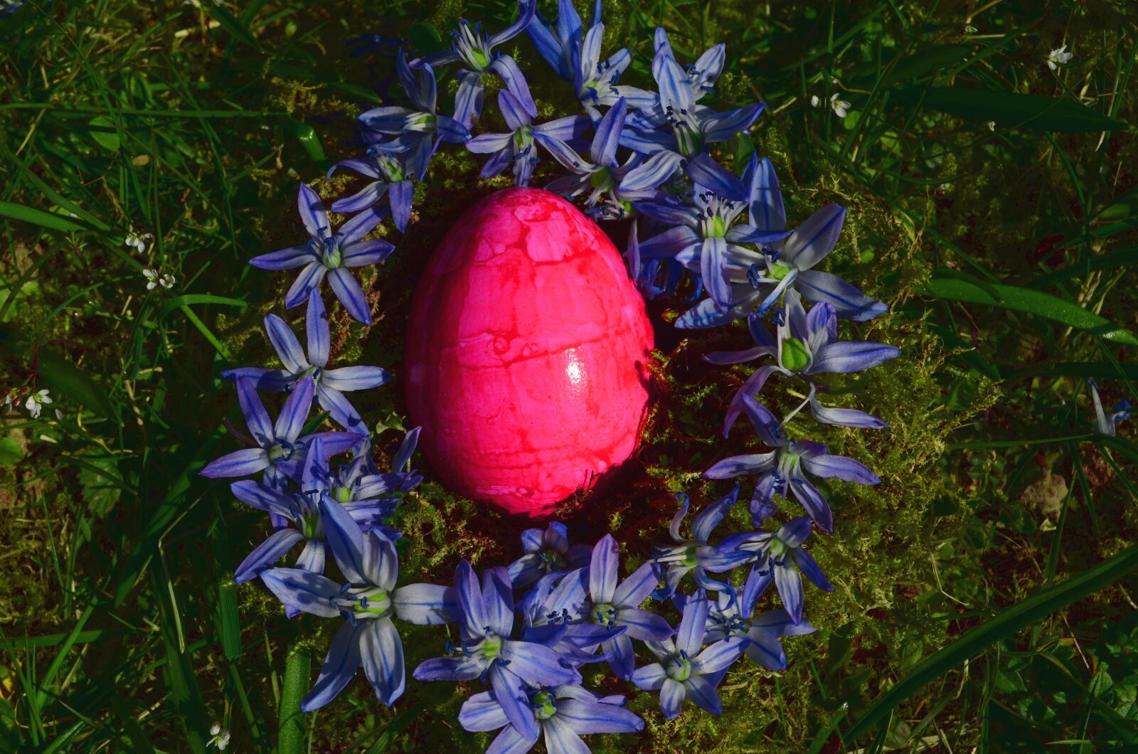 Nikon D5100 sample photo. Easter, red, egg photography