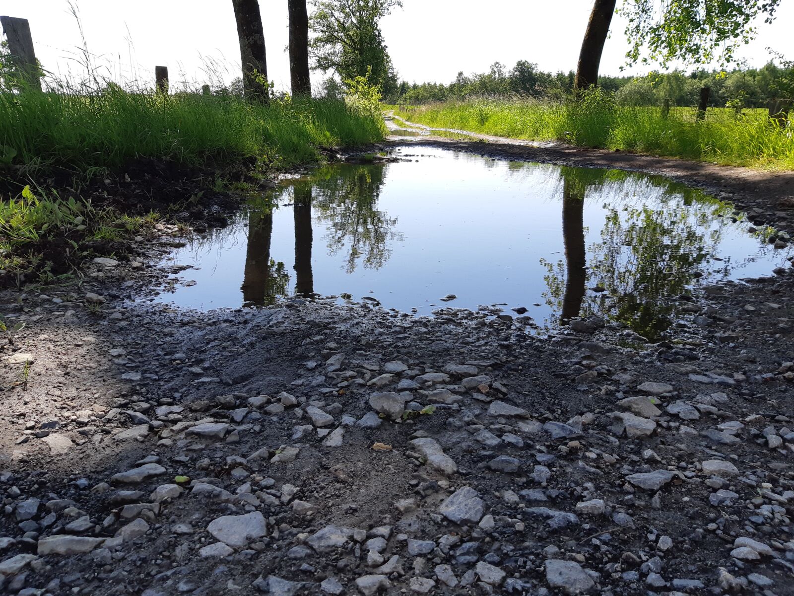 Samsung Galaxy A8(2018) sample photo. Reflection, forest, plas photography