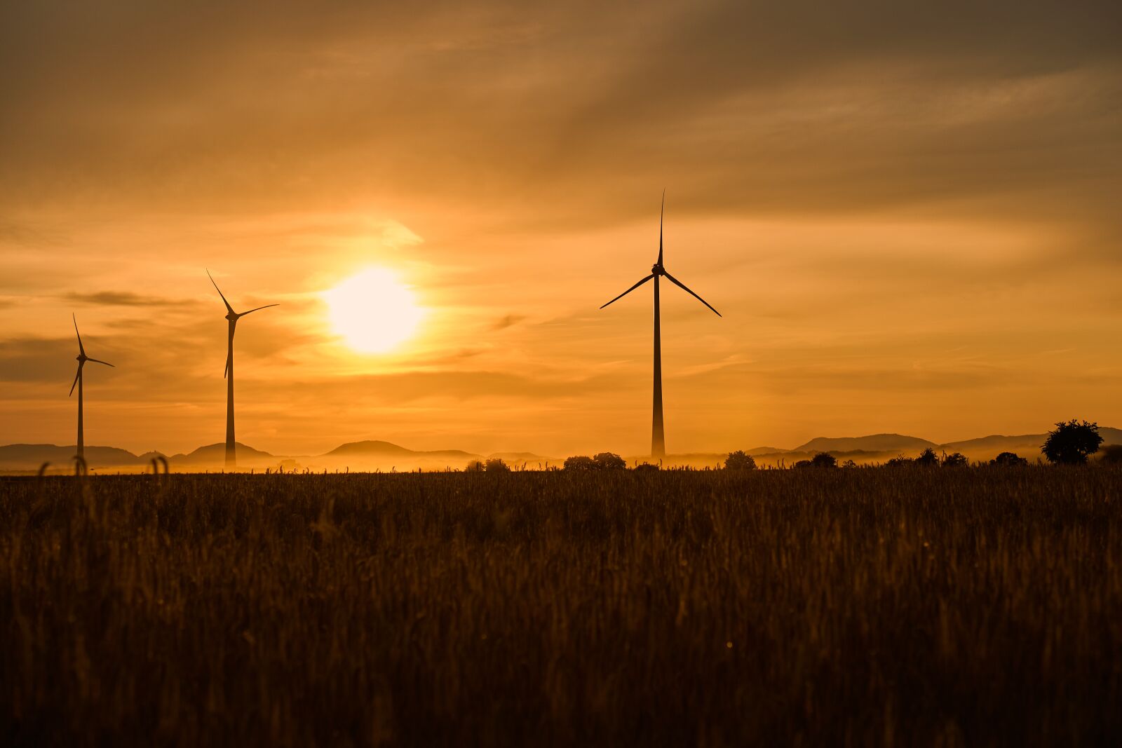 Sony E 50mm F1.8 OSS sample photo. Windr der, wind power photography