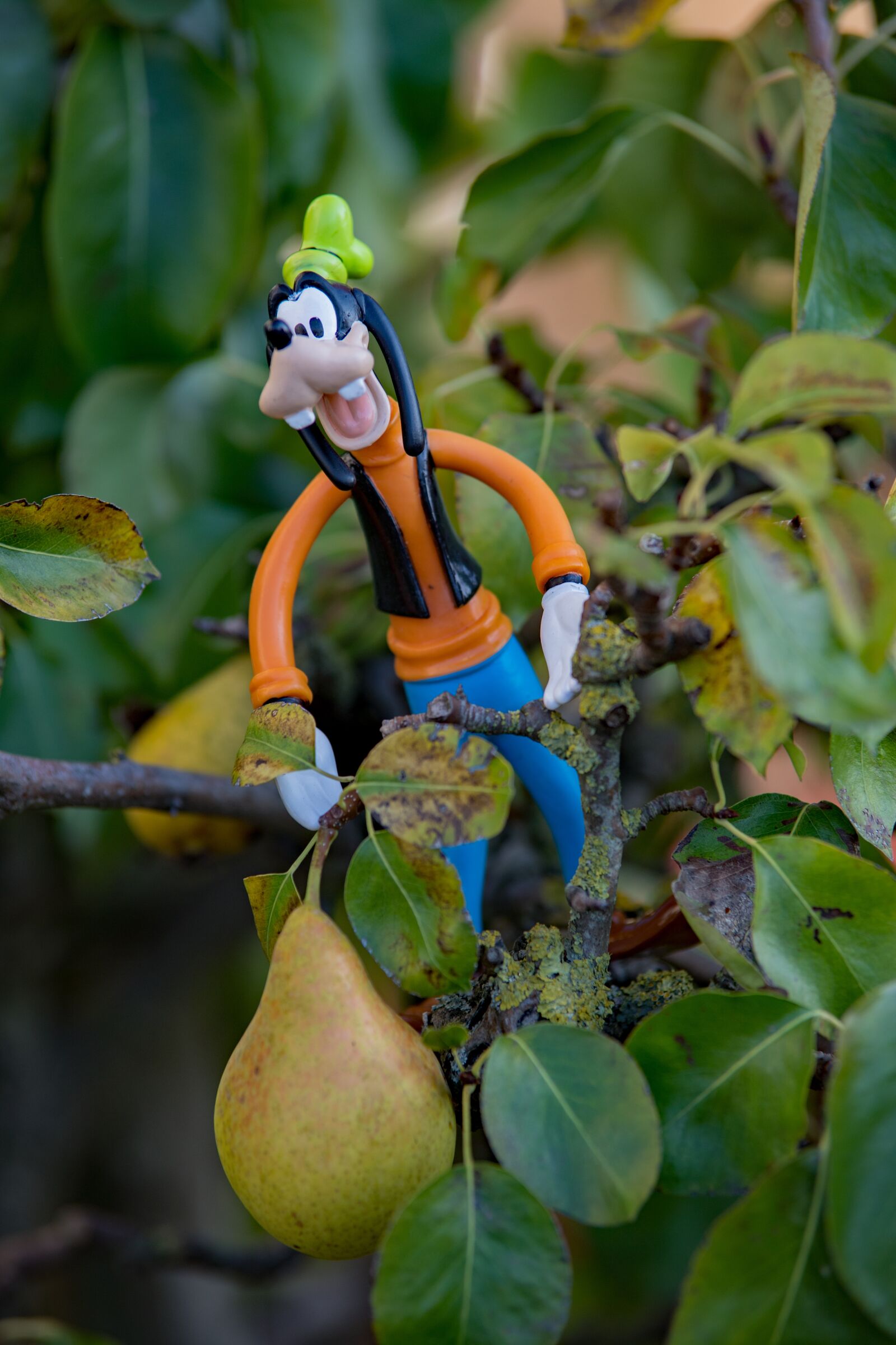 Canon EOS 6D Mark II sample photo. Disney, autumn, goofy photography