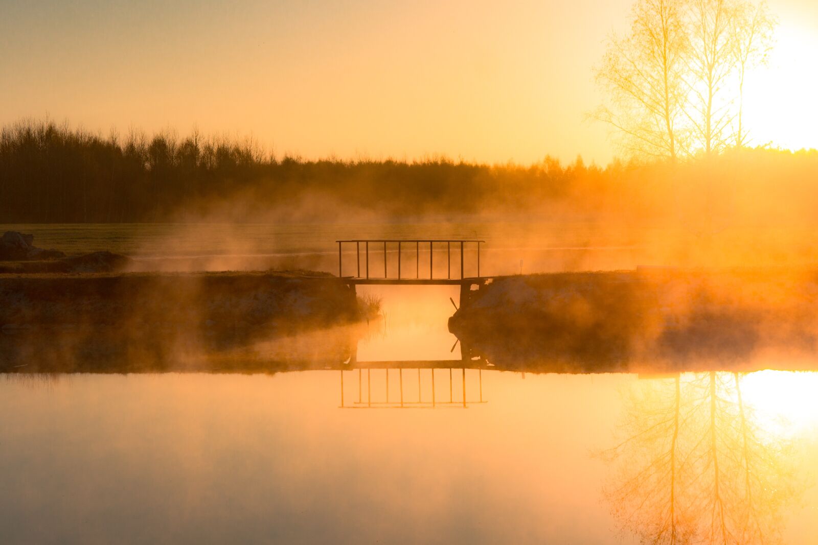 Canon EOS 700D (EOS Rebel T5i / EOS Kiss X7i) sample photo. East, pond, the fog photography
