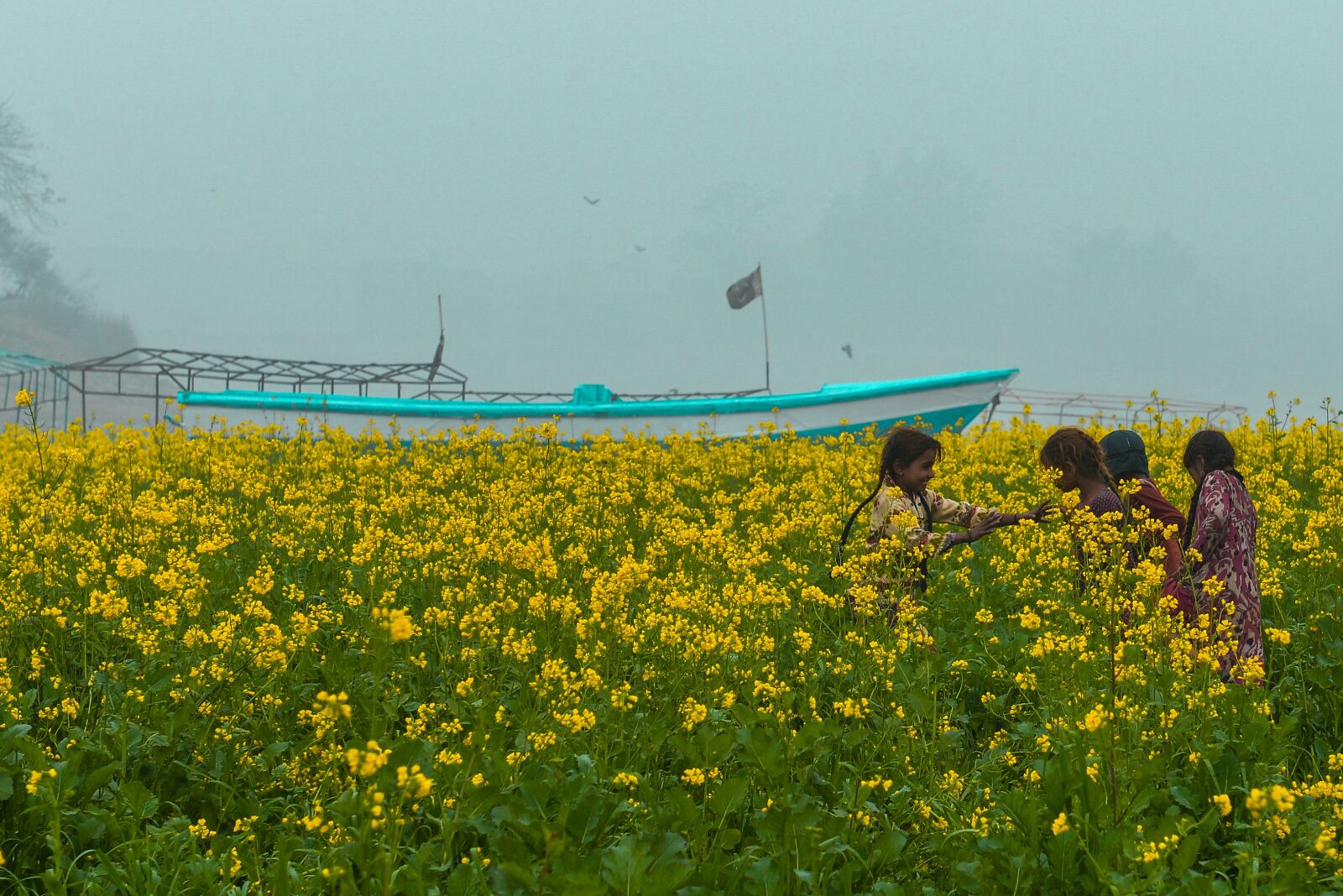Nikon D610 sample photo. River ravi, river, city photography