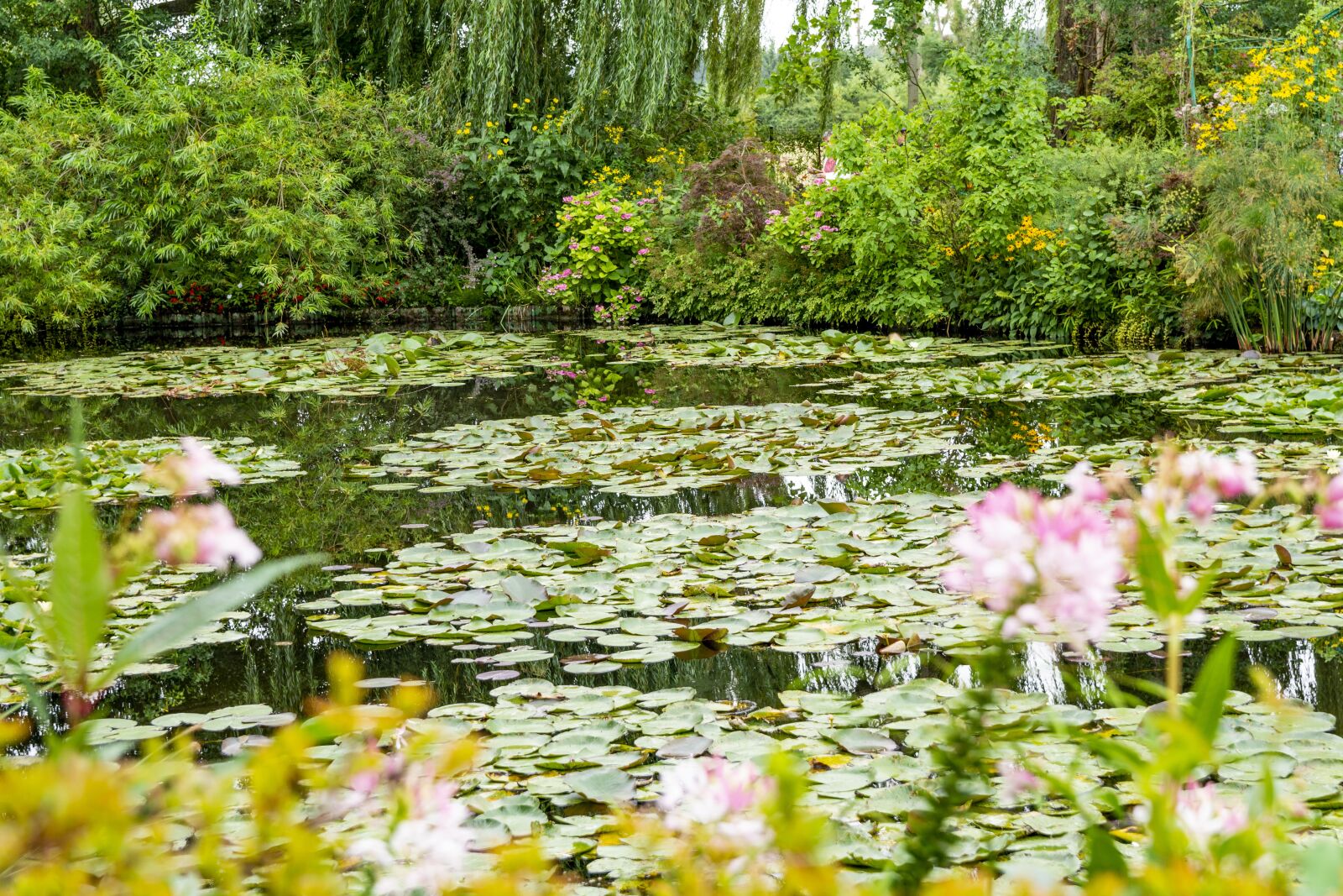 Nikon D5200 sample photo. Pond, house, nature photography