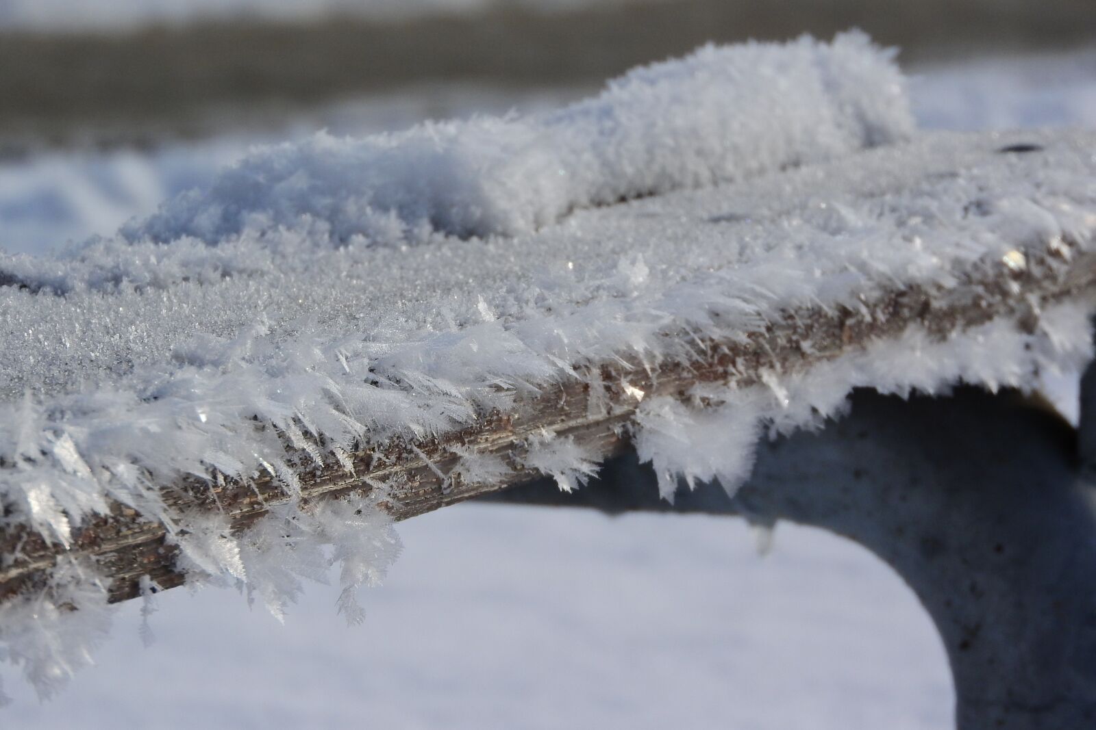 Nikon Coolpix P610 sample photo. Ice crystals, ice, icing photography