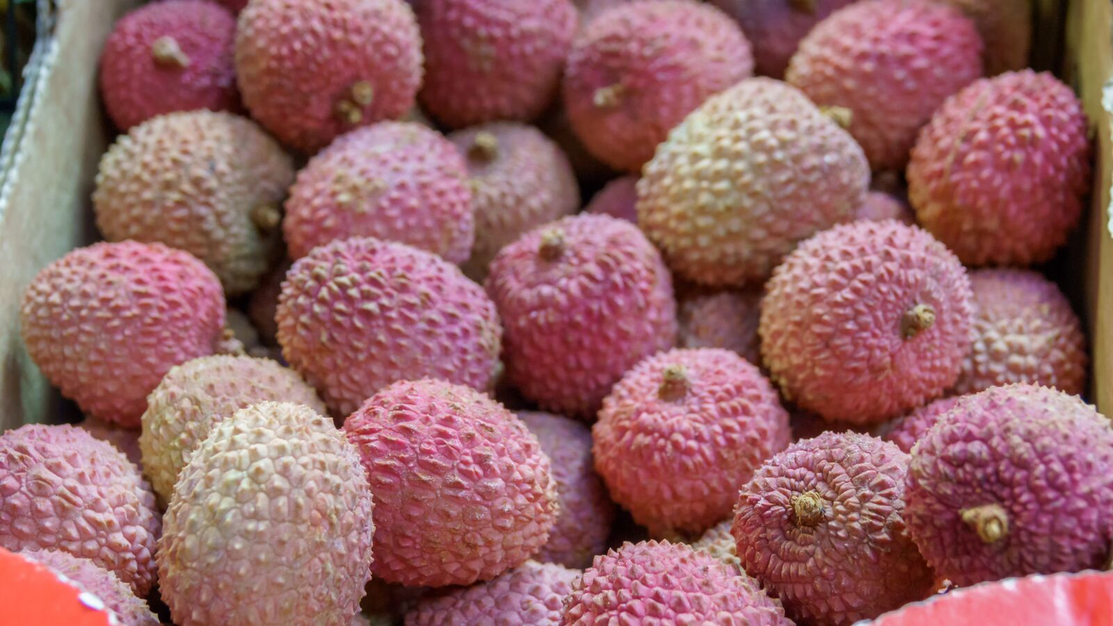 Sony Cyber-shot DSC-RX10 III sample photo. Litchi, fruit, food photography