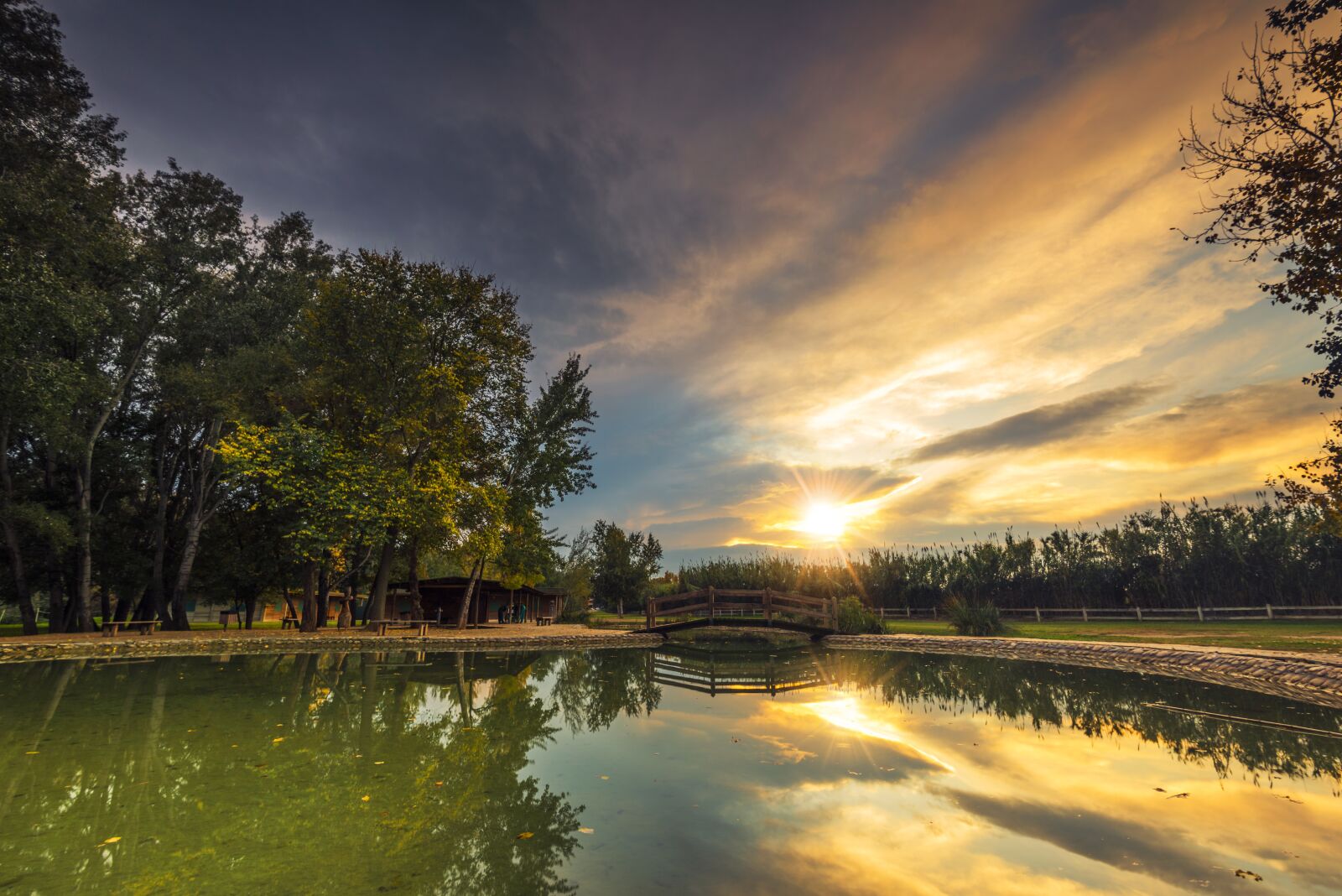 Nikon D750 sample photo. Nature, tree, lake photography