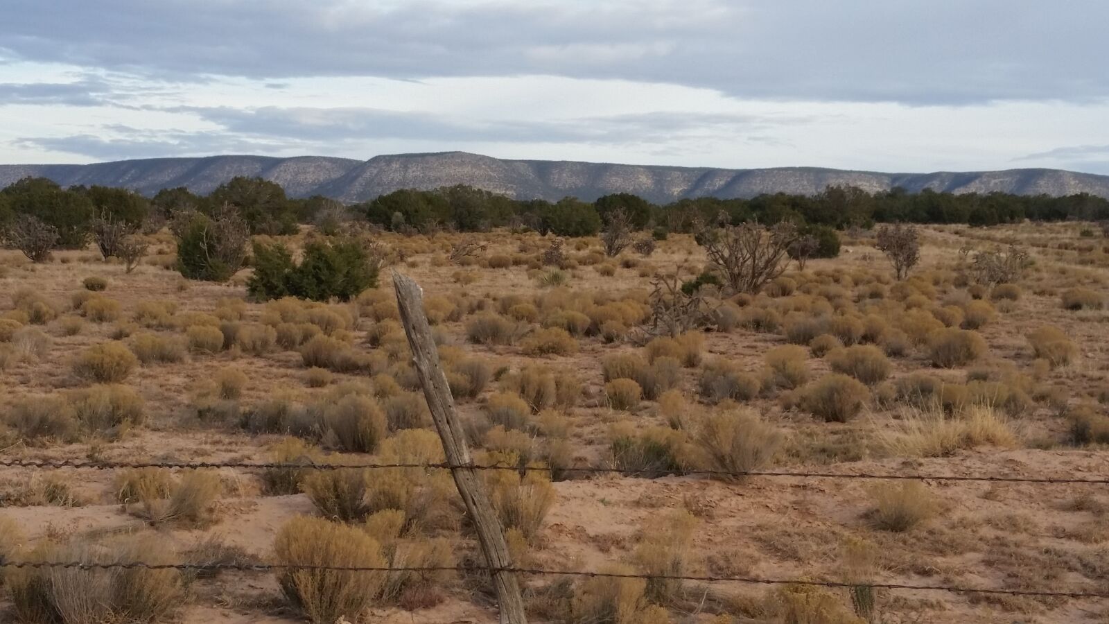 Samsung Galaxy S5 sample photo. New mexico, nm, fence photography