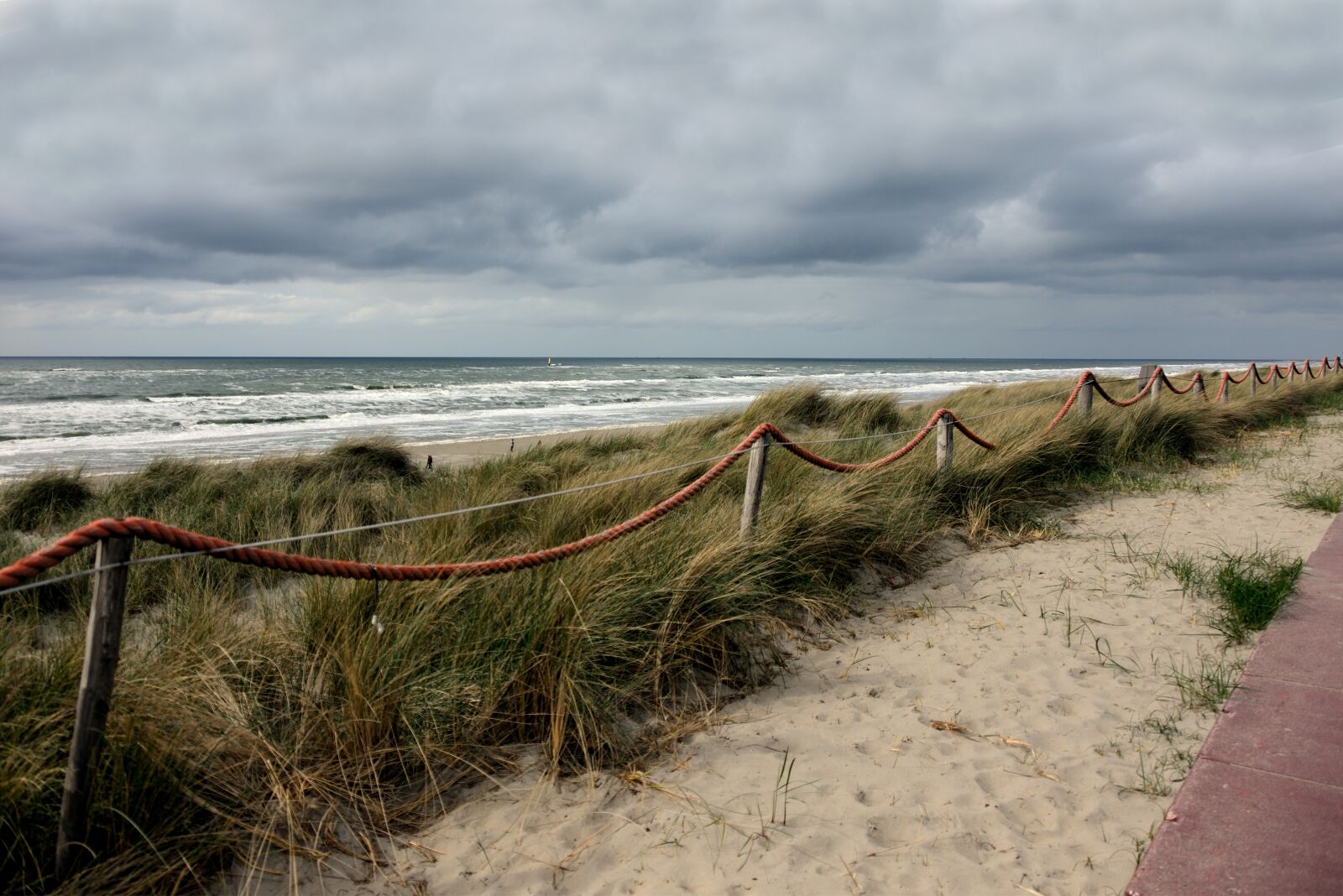Nikon D610 sample photo. Sea, island, texel photography
