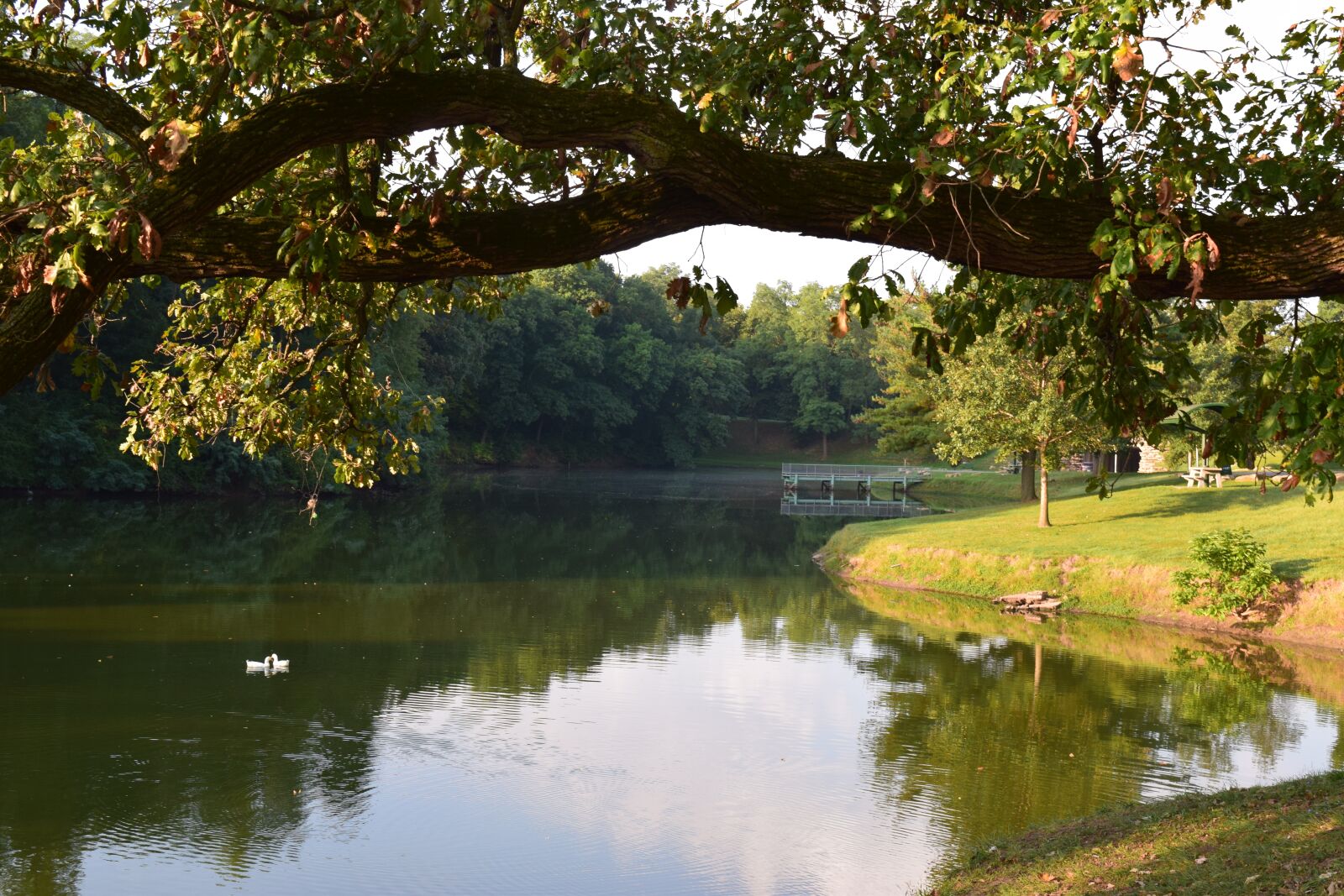 Nikon D3300 sample photo. Pond, lagoon, water photography