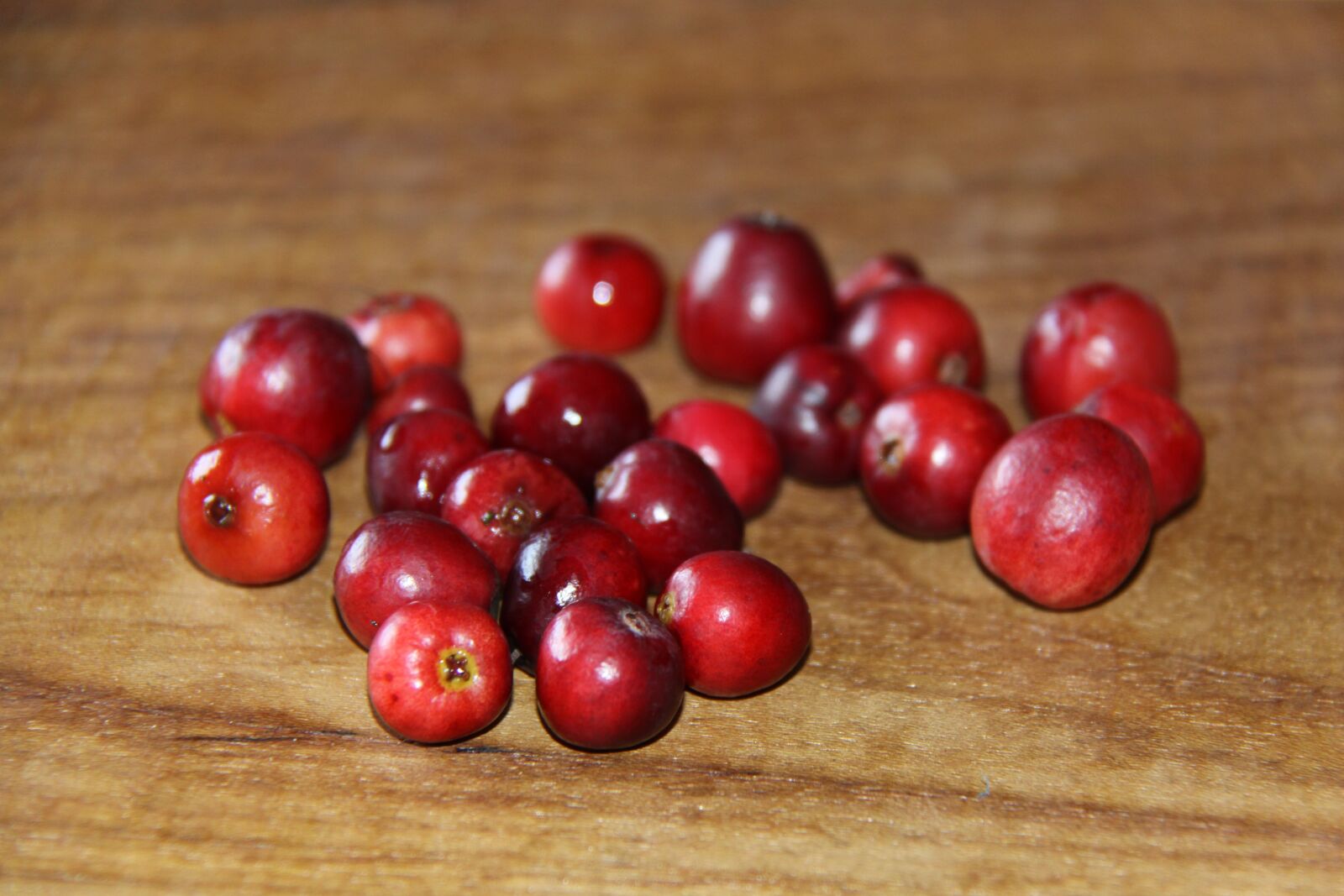 Canon EOS 50D sample photo. Cranberry, cranberry red, fruits photography