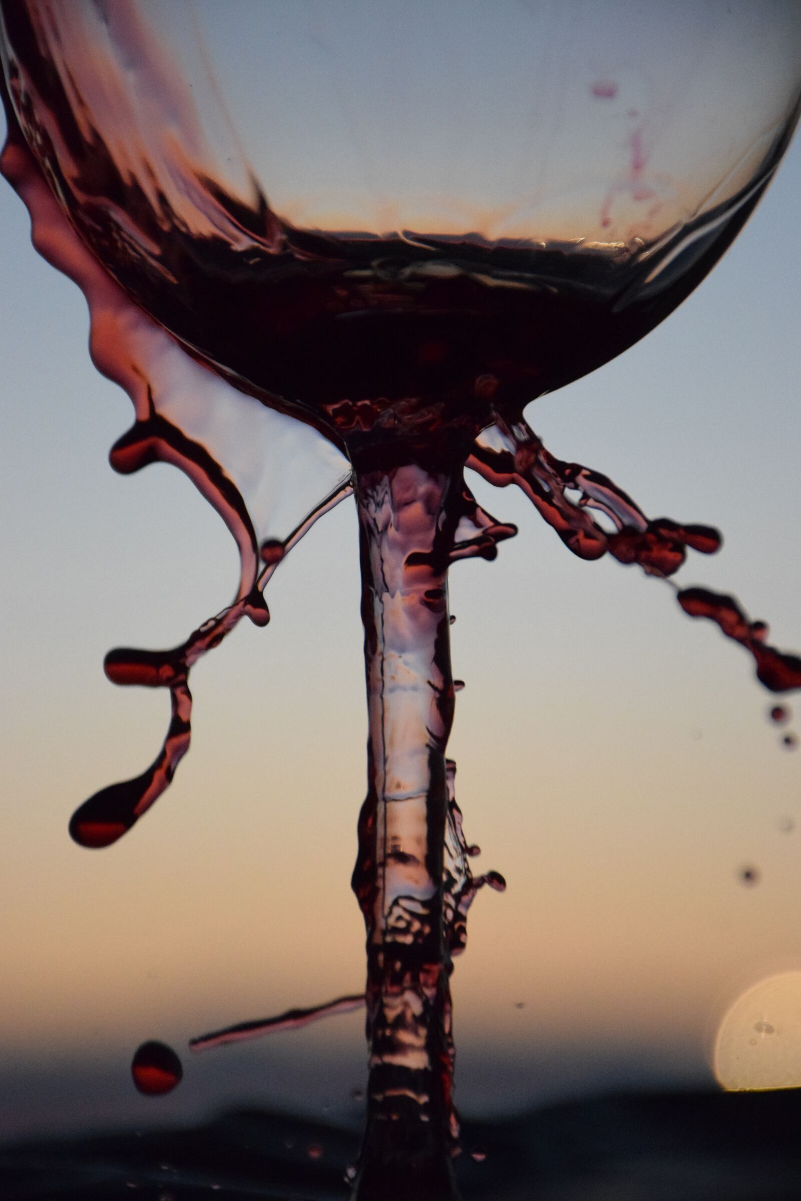 Nikon D5300 sample photo. Wine, cup, drink photography