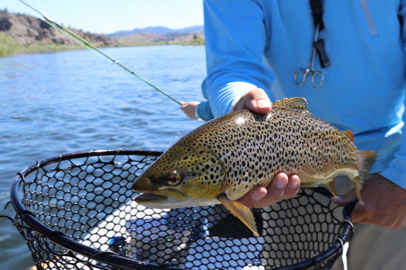 Canon EOS 80D sample photo. Fish, fishing, trout photography