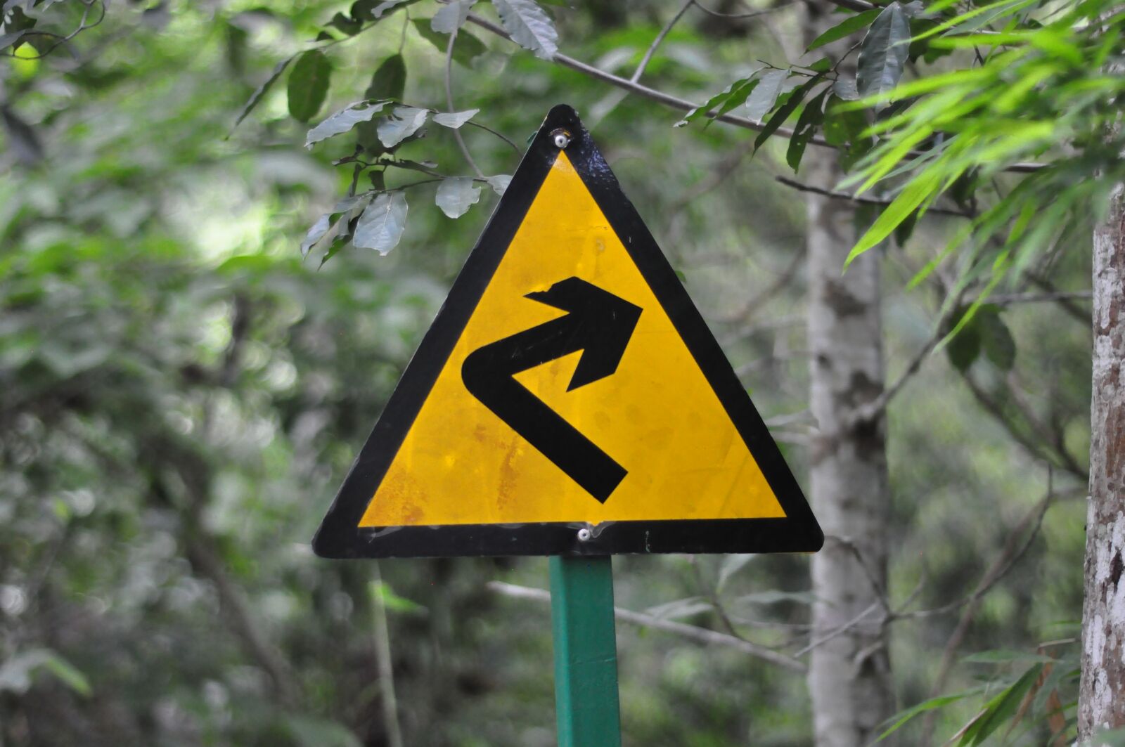 Nikon D90 sample photo. Signs, turn right, road photography