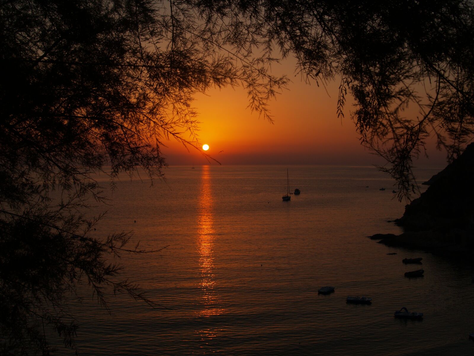Olympus E-500 (EVOLT E-500) sample photo. Sunset, sea, summer photography