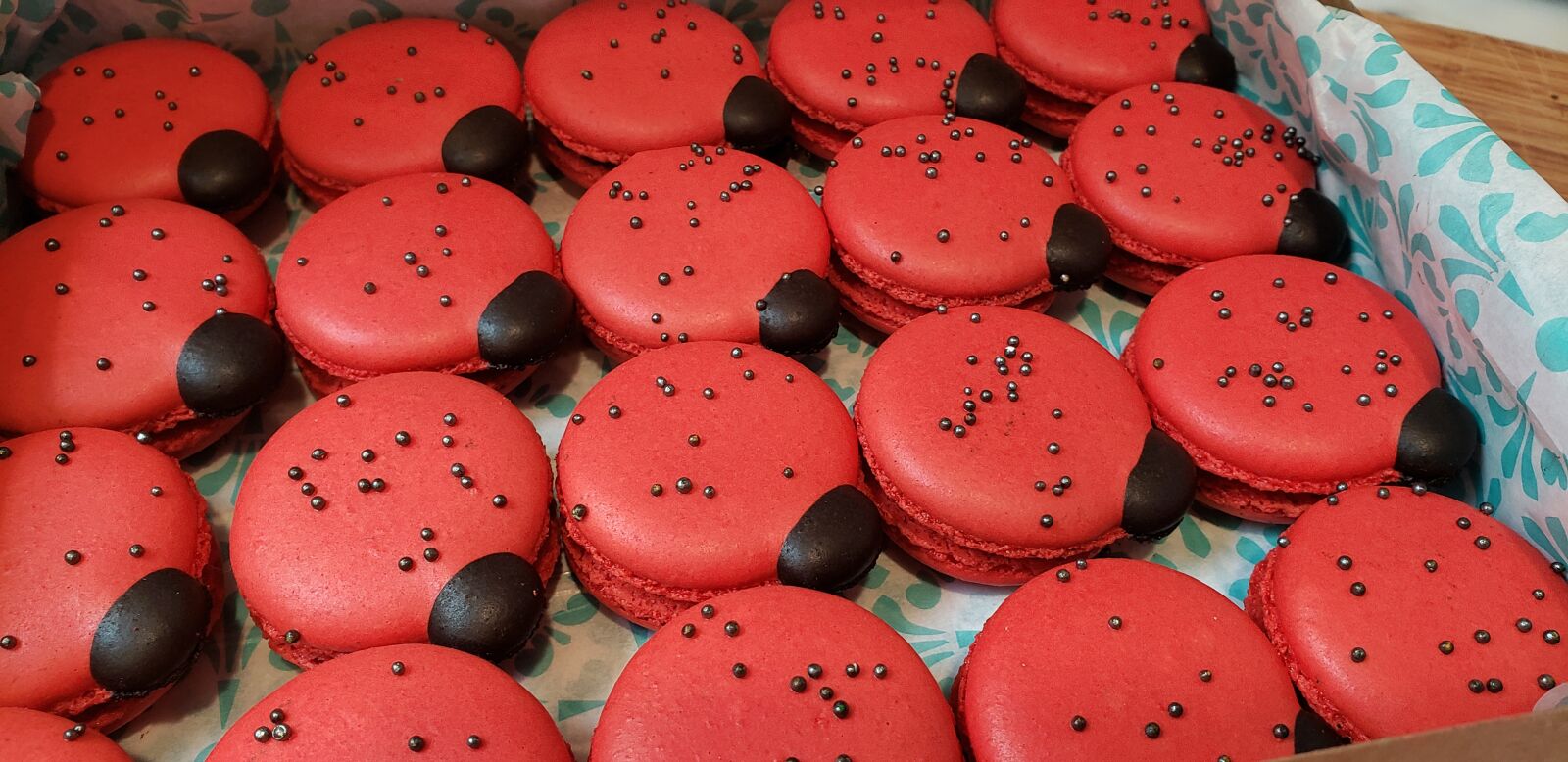 Samsung Galaxy Note9 sample photo. Macron, food, ladybug photography