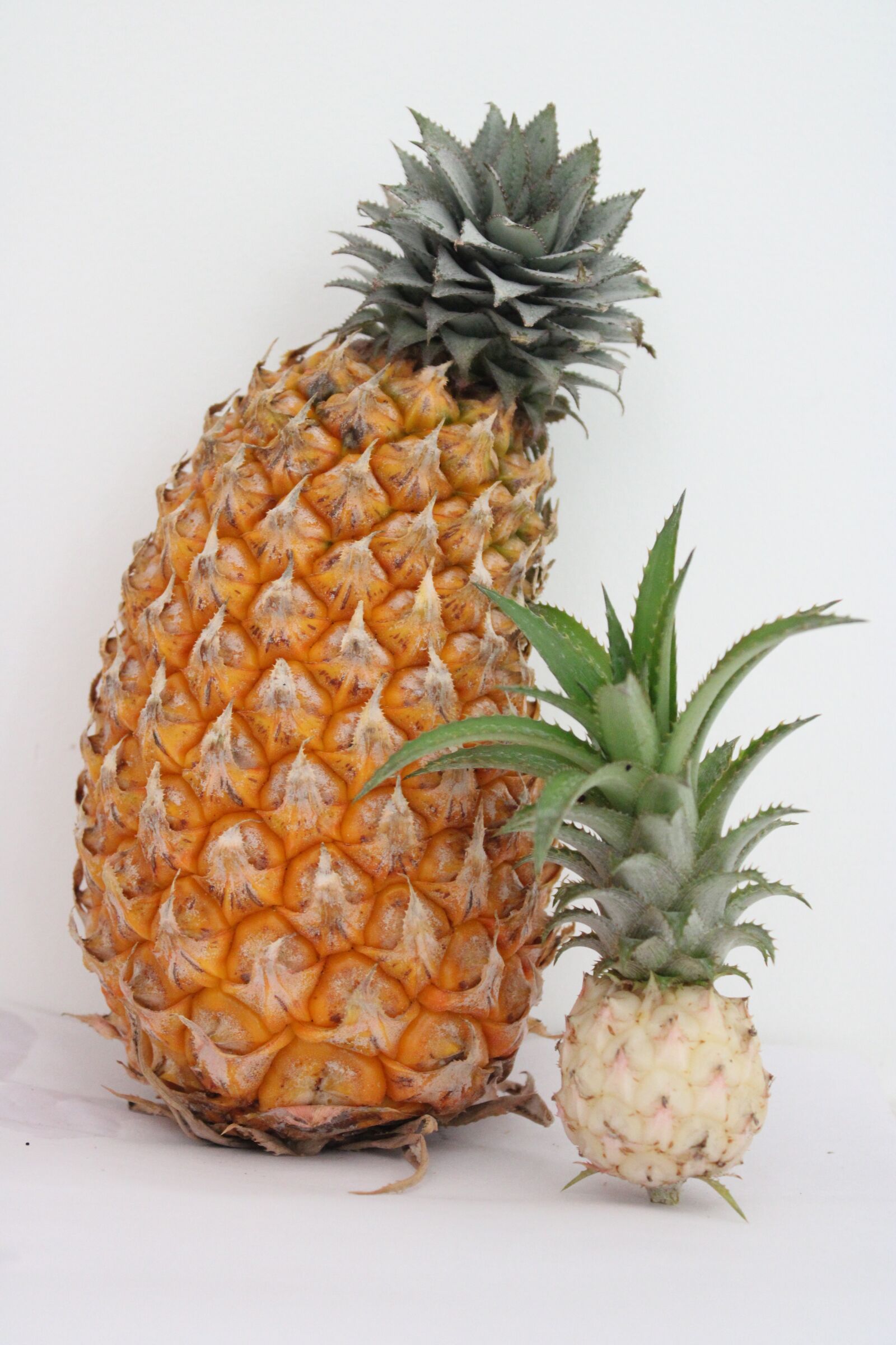 Canon EOS 2000D (EOS Rebel T7 / EOS Kiss X90 / EOS 1500D) sample photo. Pineapple, fruit, food photography