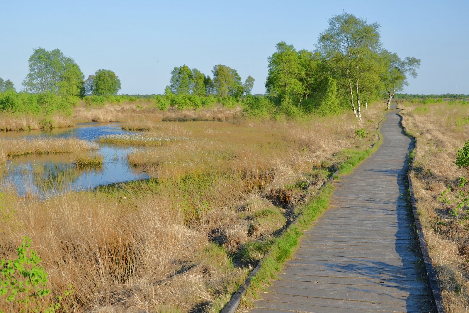 Nikon D5100 sample photo. East frisia, eternal sea photography