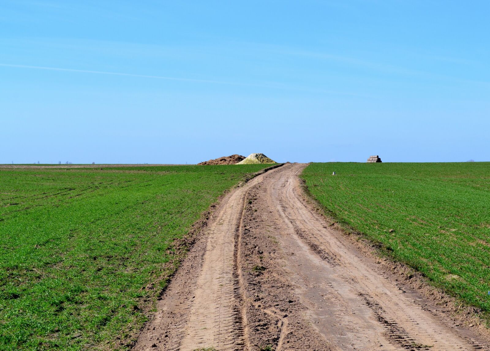 Nikon D3100 sample photo. Nature, field, landscape photography