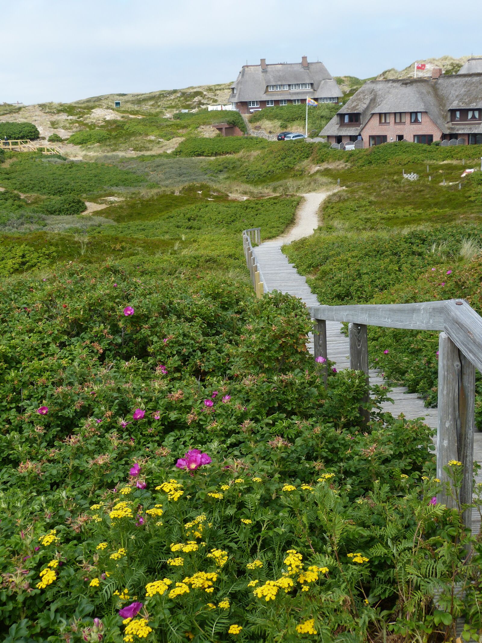 Panasonic Lumix DMC-FZ150 sample photo. Sylt, island, mecklenburg photography