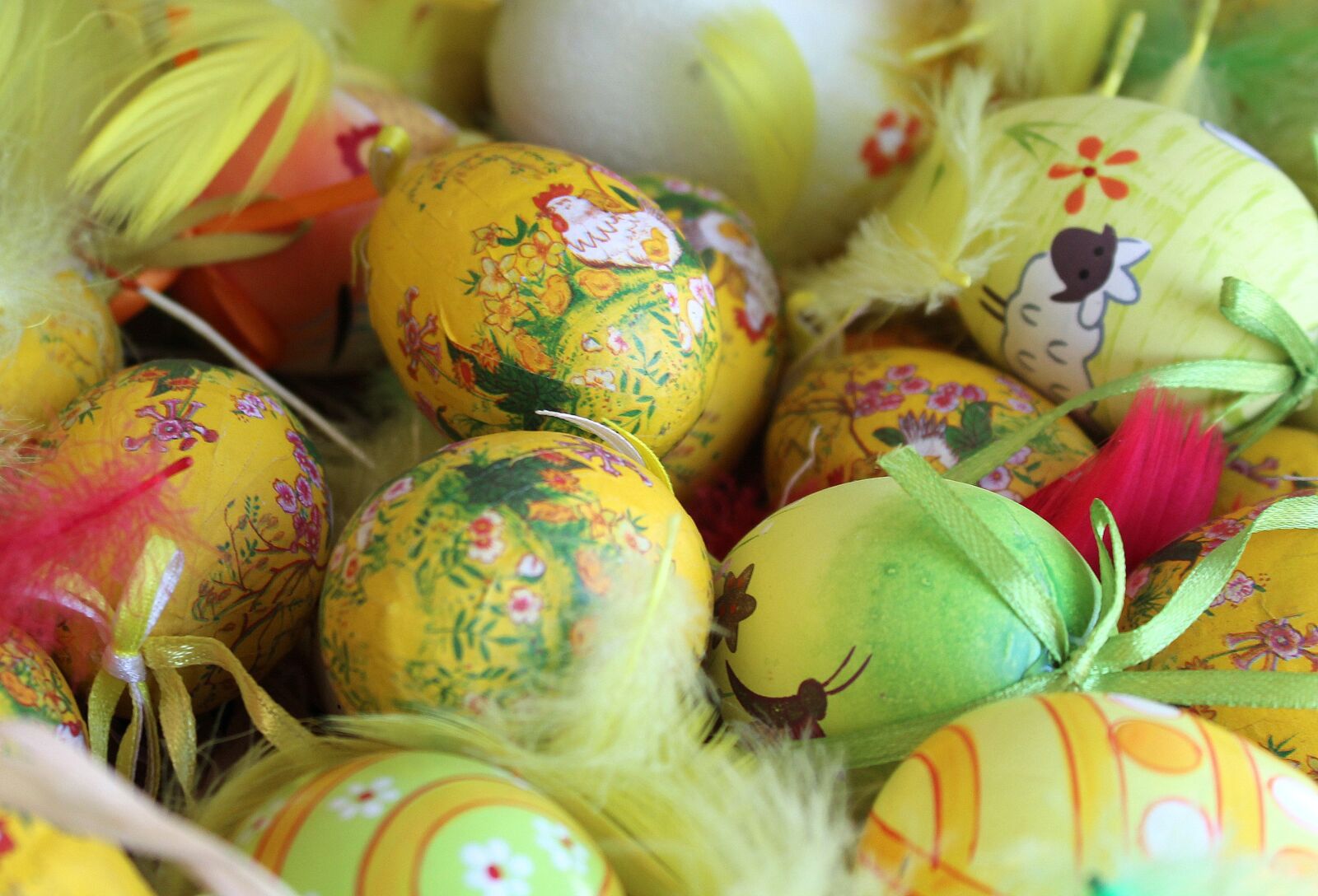 Canon EOS 1200D (EOS Rebel T5 / EOS Kiss X70 / EOS Hi) sample photo. Eggs, easter eggs, christmas photography